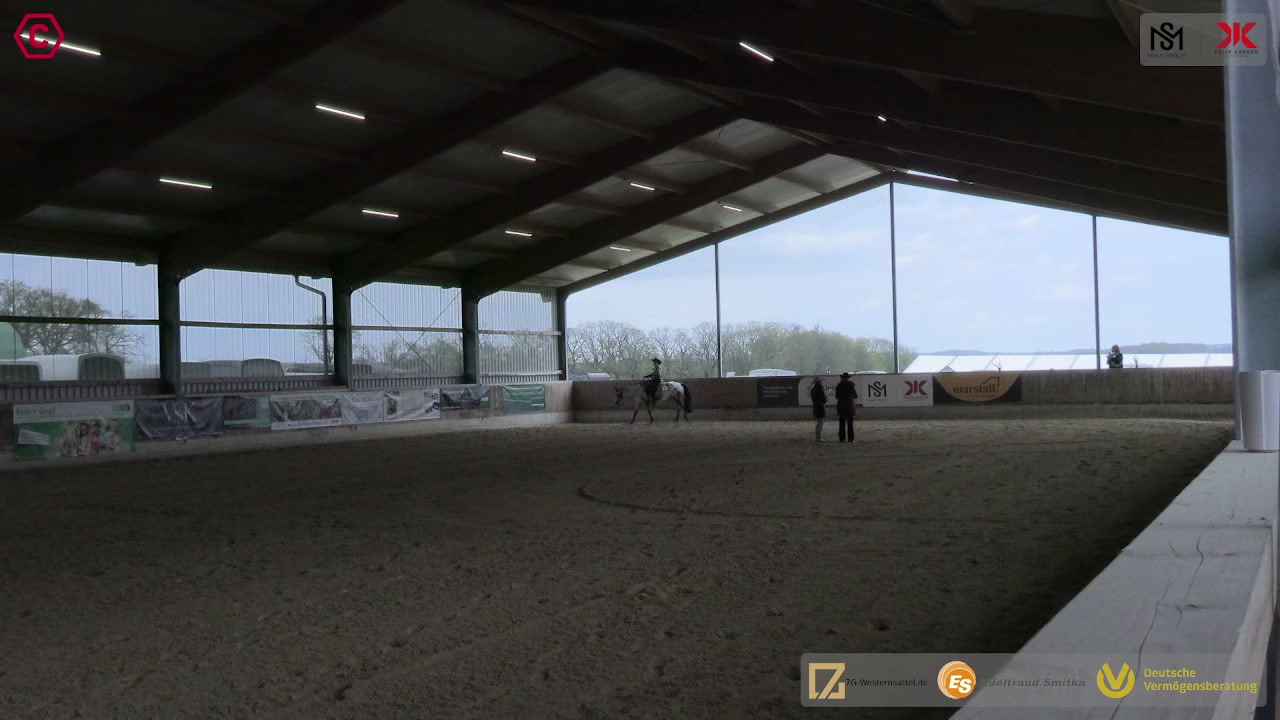 Gruppenclip LK 1A sen. Western Pleasure