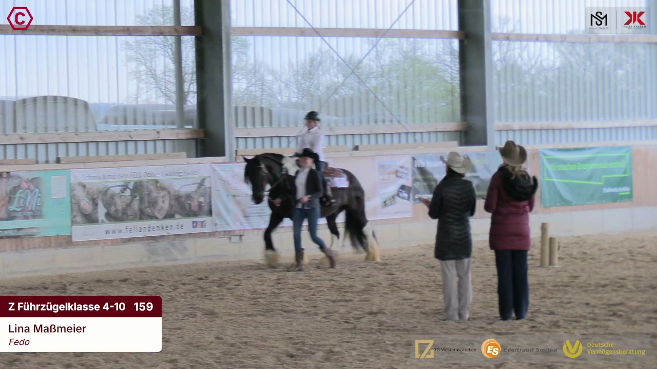 Gruppenclip Z Führzügelklasse 4-10