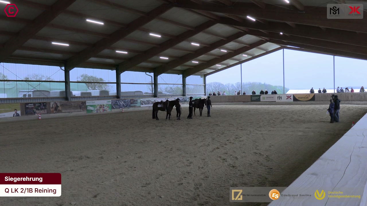 Siegerehrungs-Clip Q LK 2/1B Reining