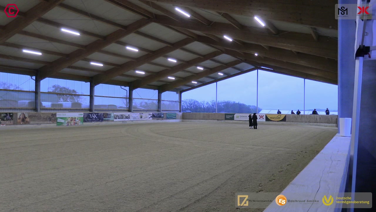 Gruppenclip Q LK 2/1 A/B sen Western Pleasure