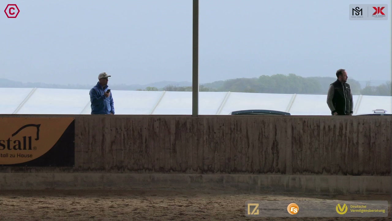 Gruppenclip Q LK 2/1 jun Western Pleasure