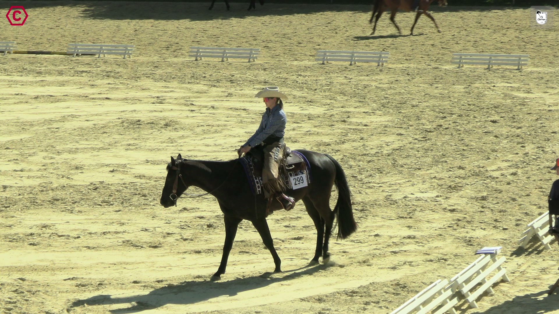 Clip von Caroline Leckebusch, StartNr 299