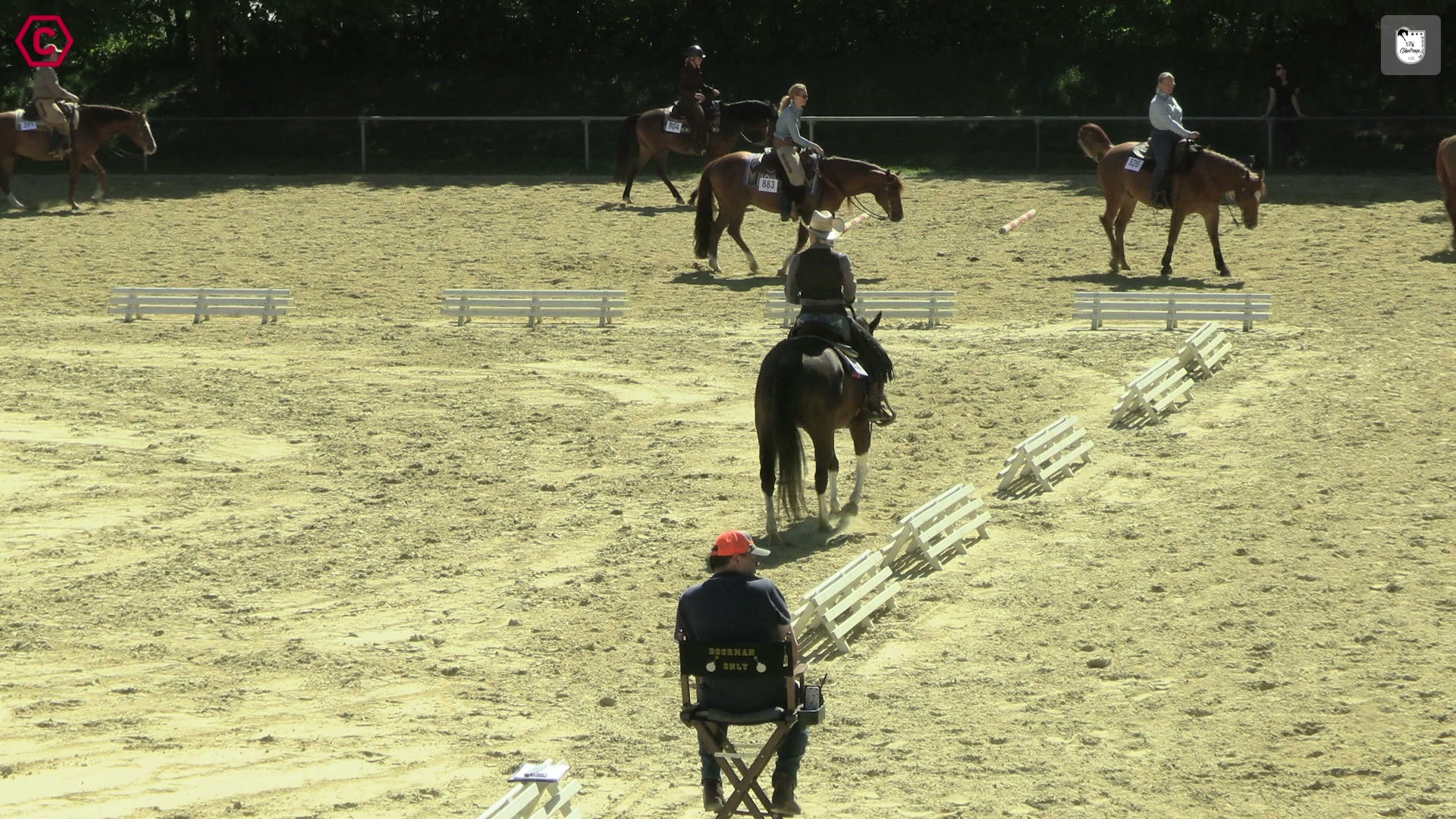 Clip von Bettina Gierszewski, StartNr 250