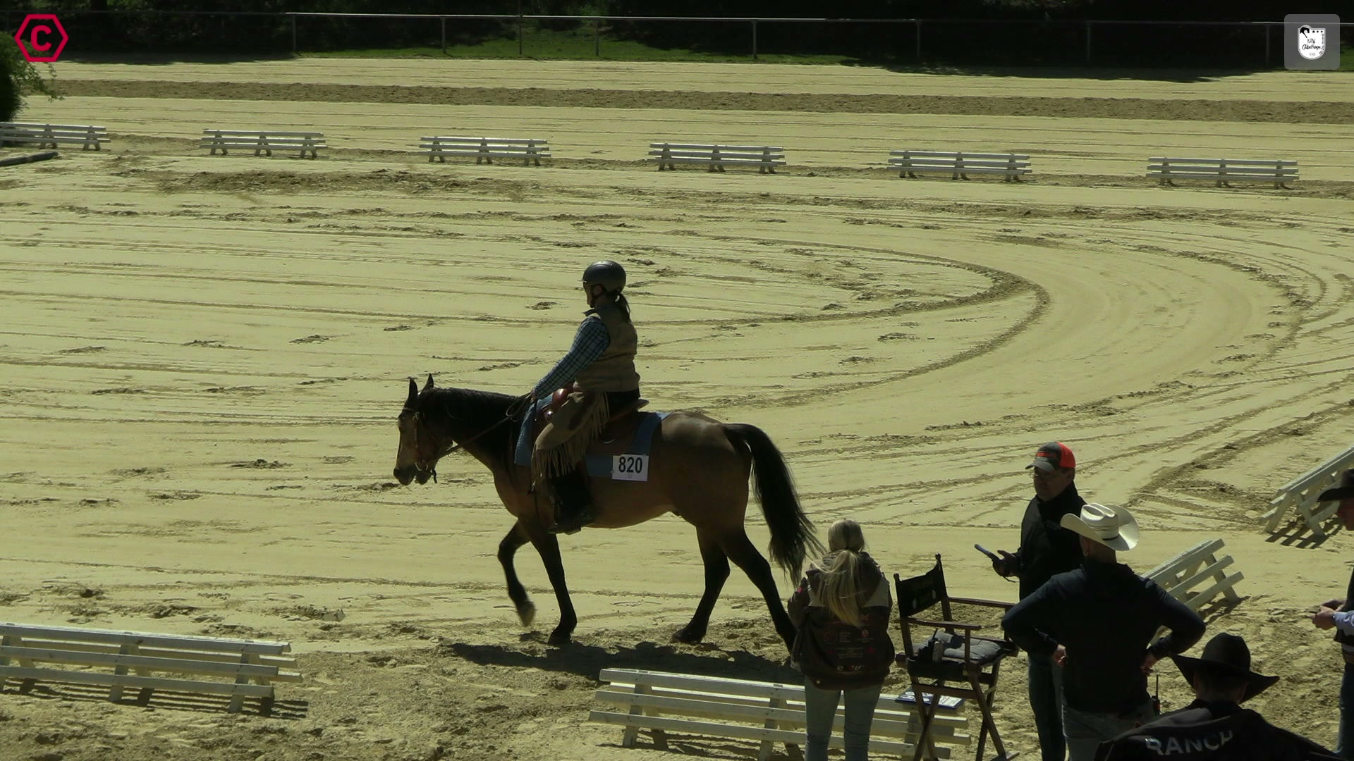 Clip von Sandra Rehkemper, StartNr 820