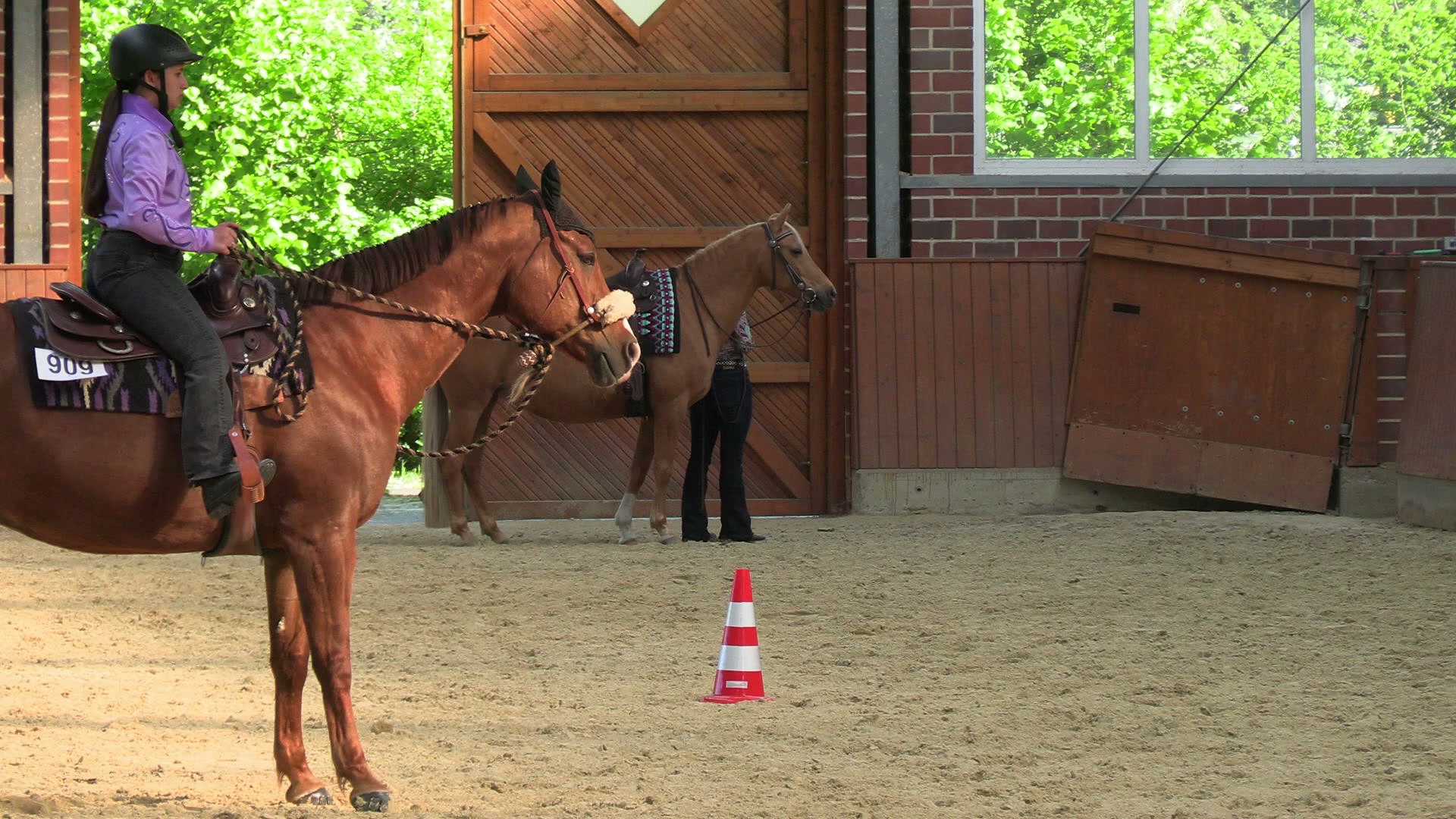 Siegerehrungs-Clip Walk Trot Horsemanship