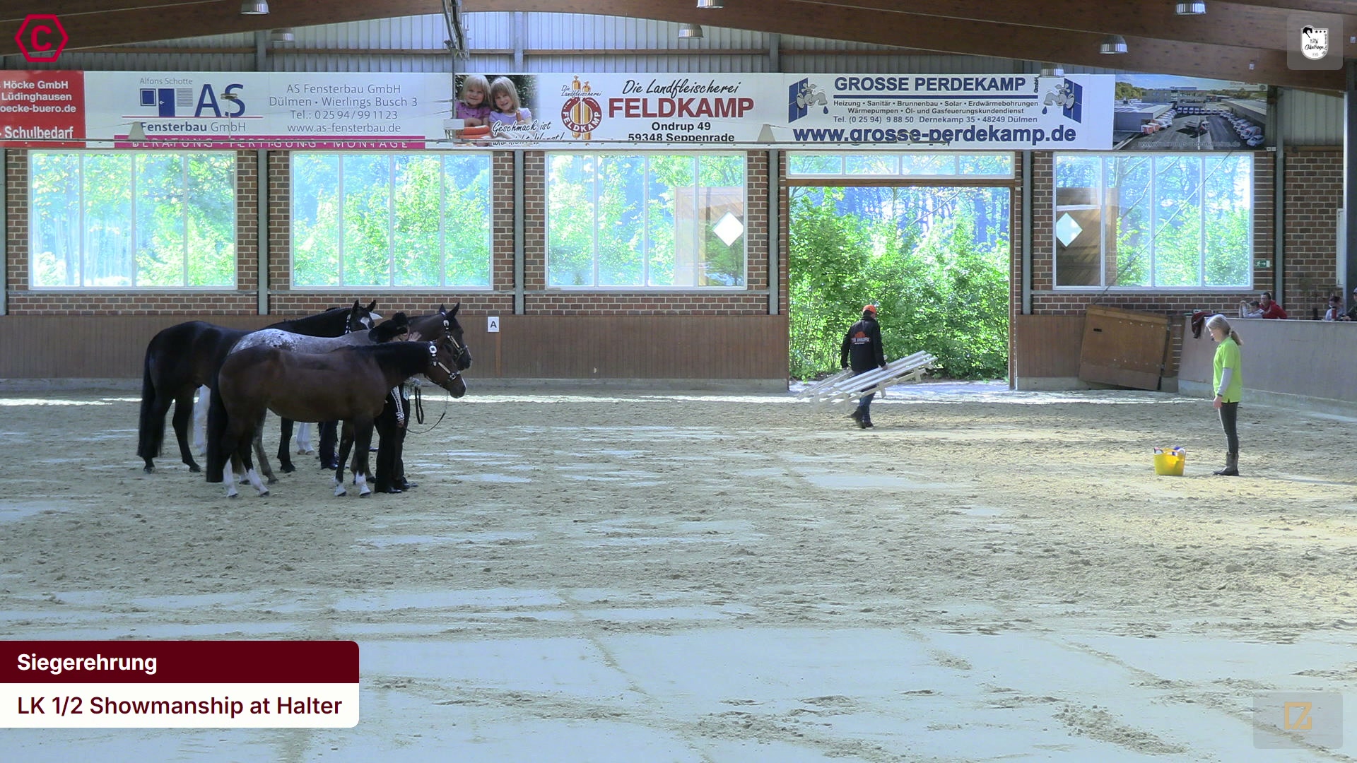 Siegerehrungs-Clip LK 1/2 Showmanship at Halter