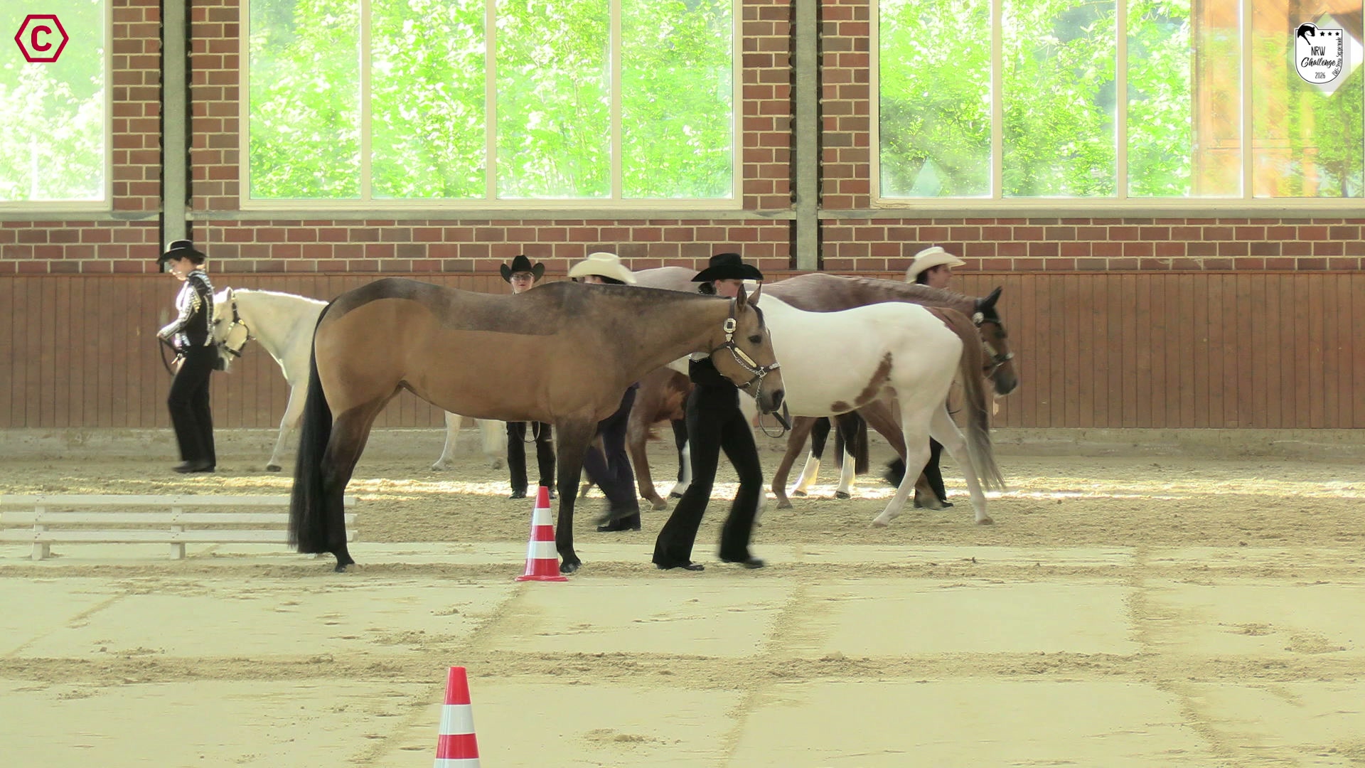 Clip von Vera Hettgen, StartNr 126