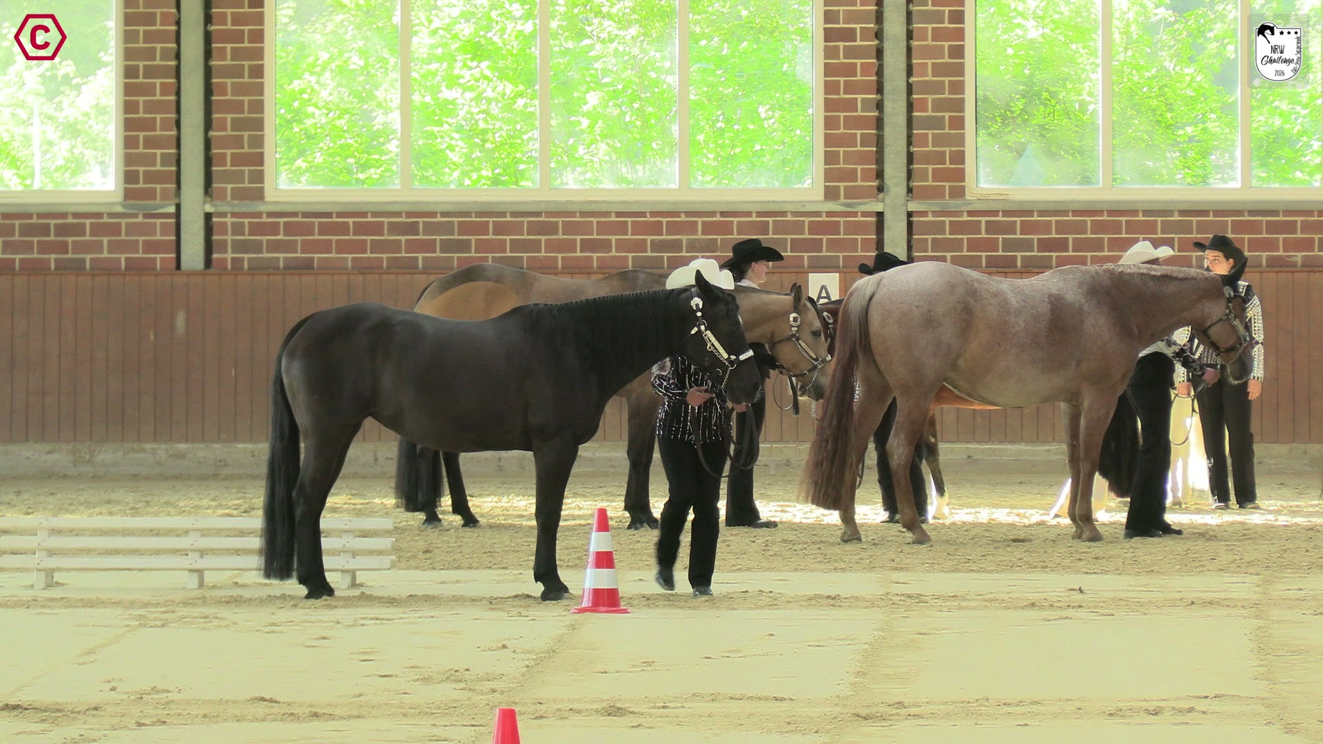 Clip von Angela Behrend, StartNr 141