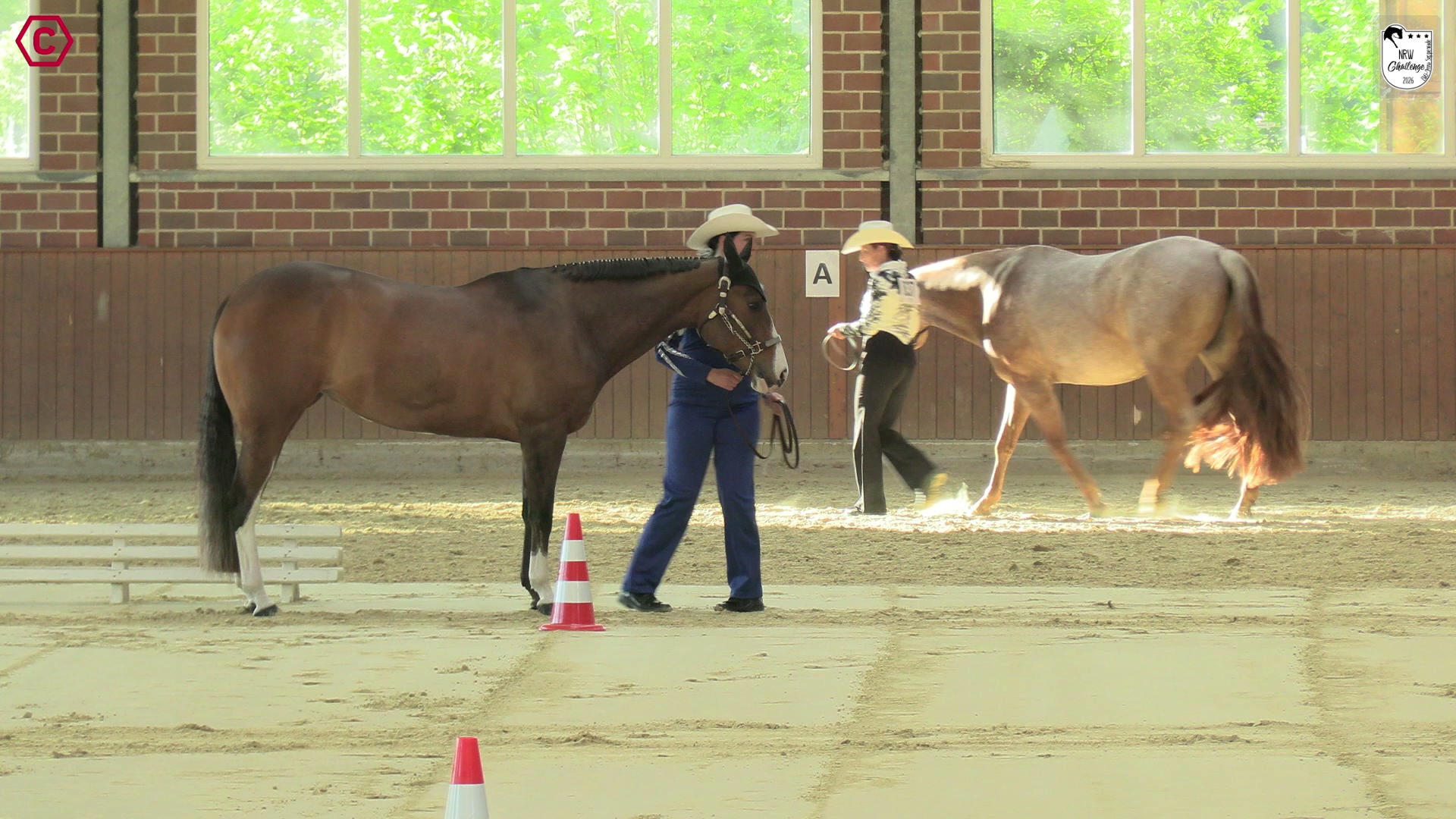 Clip von Nicole  Sbresny , StartNr 265