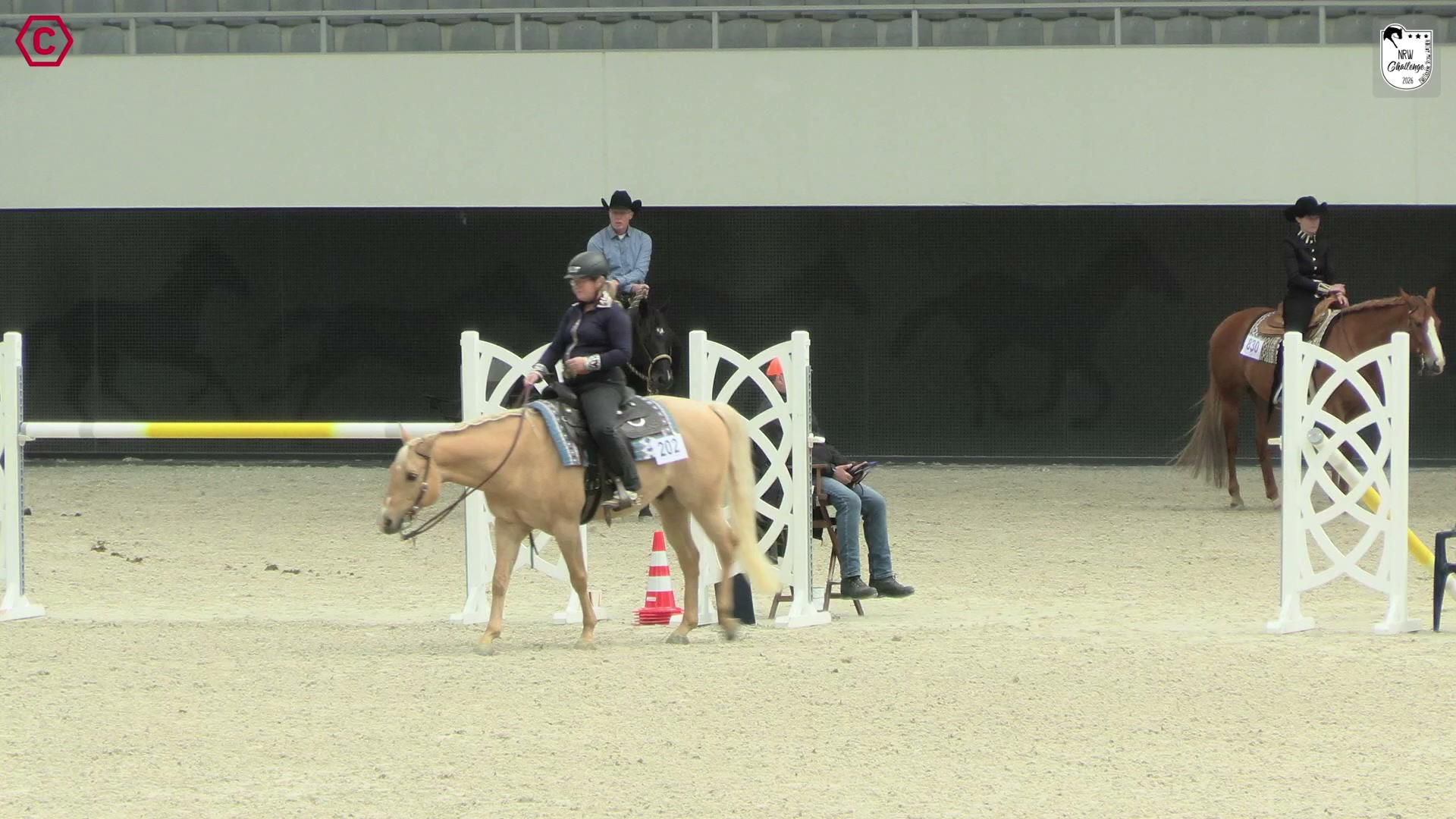 Clip von Kerstin Averwald, StartNr 202