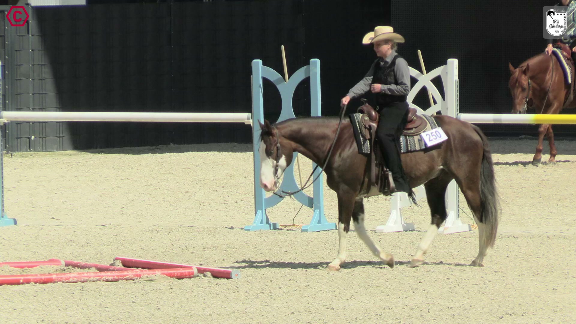 Clip von Bettina Gierszewski, StartNr 250