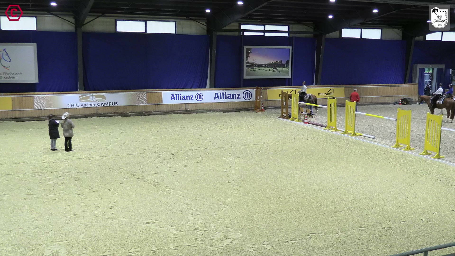 Gruppenclip Walk Trot  Pleasure
