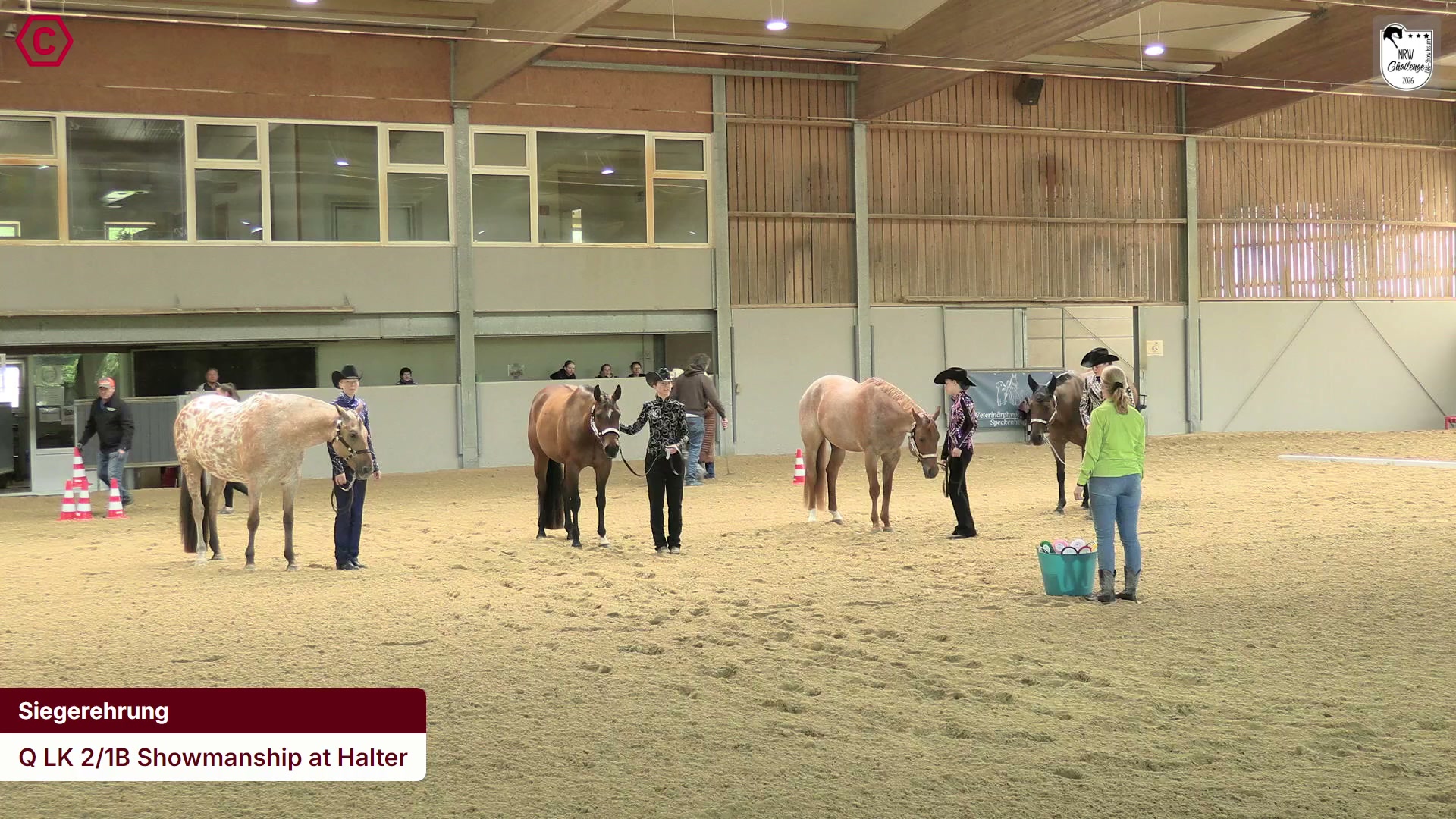 Siegerehrungs-Clip Q LK 2/1B Showmanship at Halter