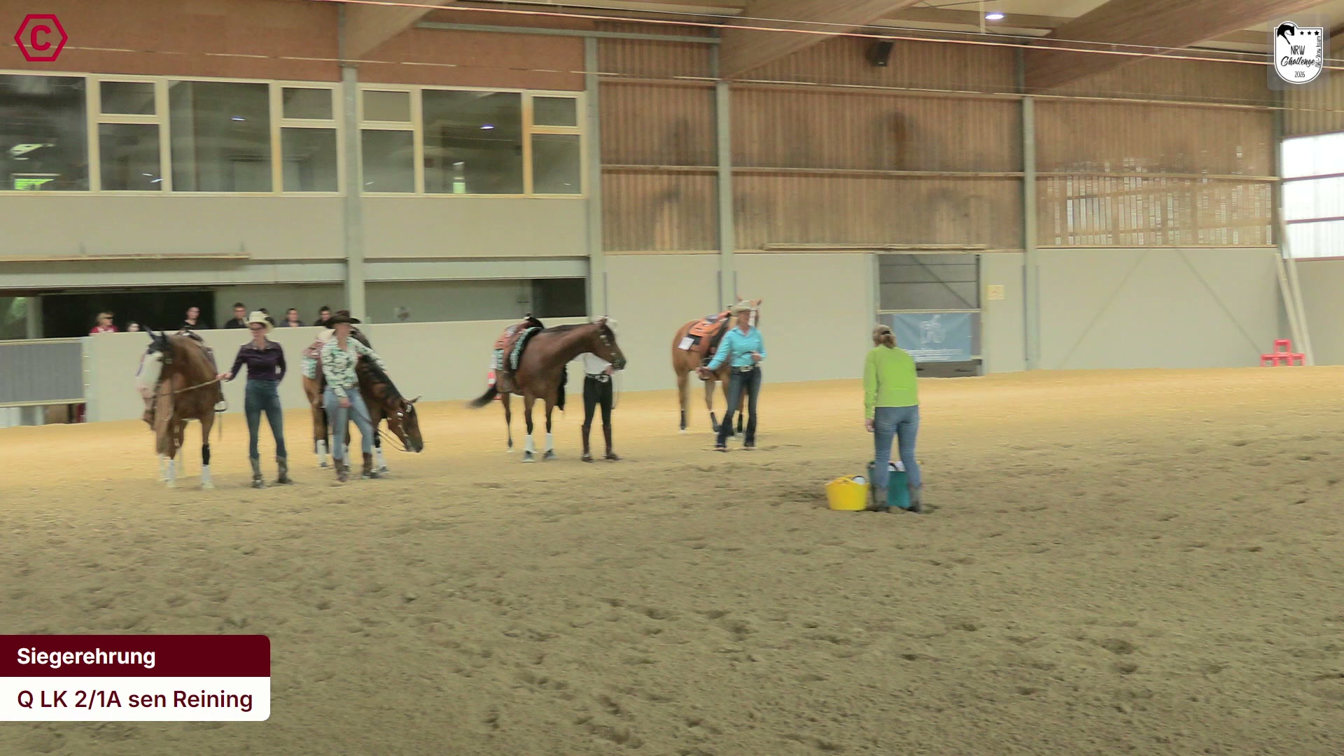 Siegerehrungs-Clip Q LK 2/1A sen Reining