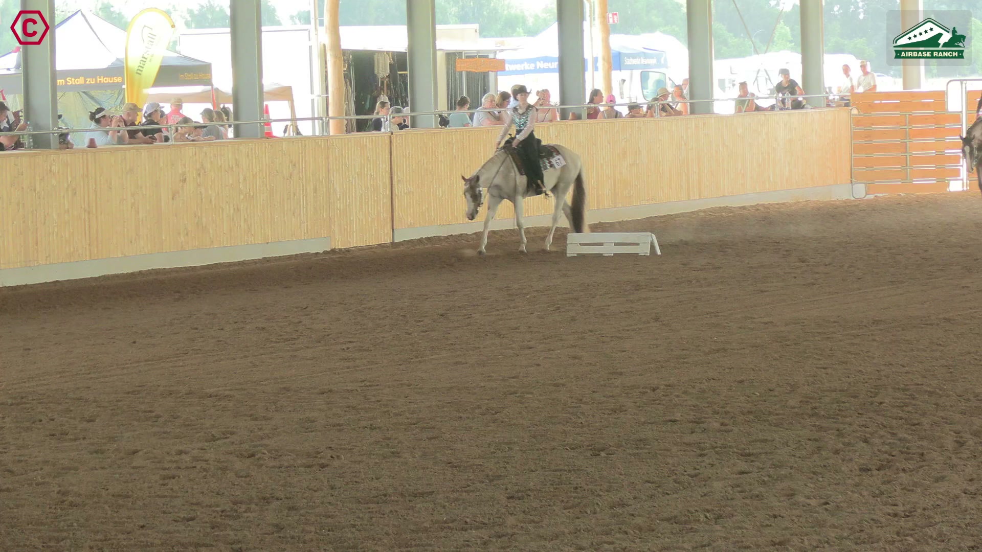 Gruppenclip M LK 2/1 jun. Western Pleasure