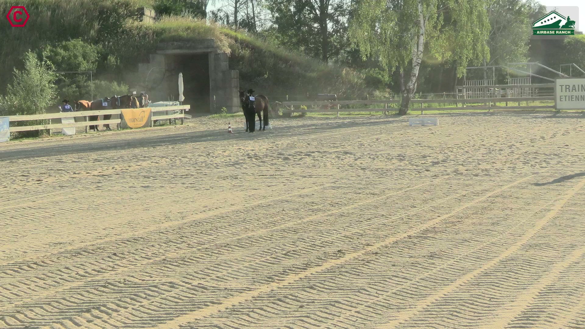 Gruppenclip LK 1A Showmanship at Halter