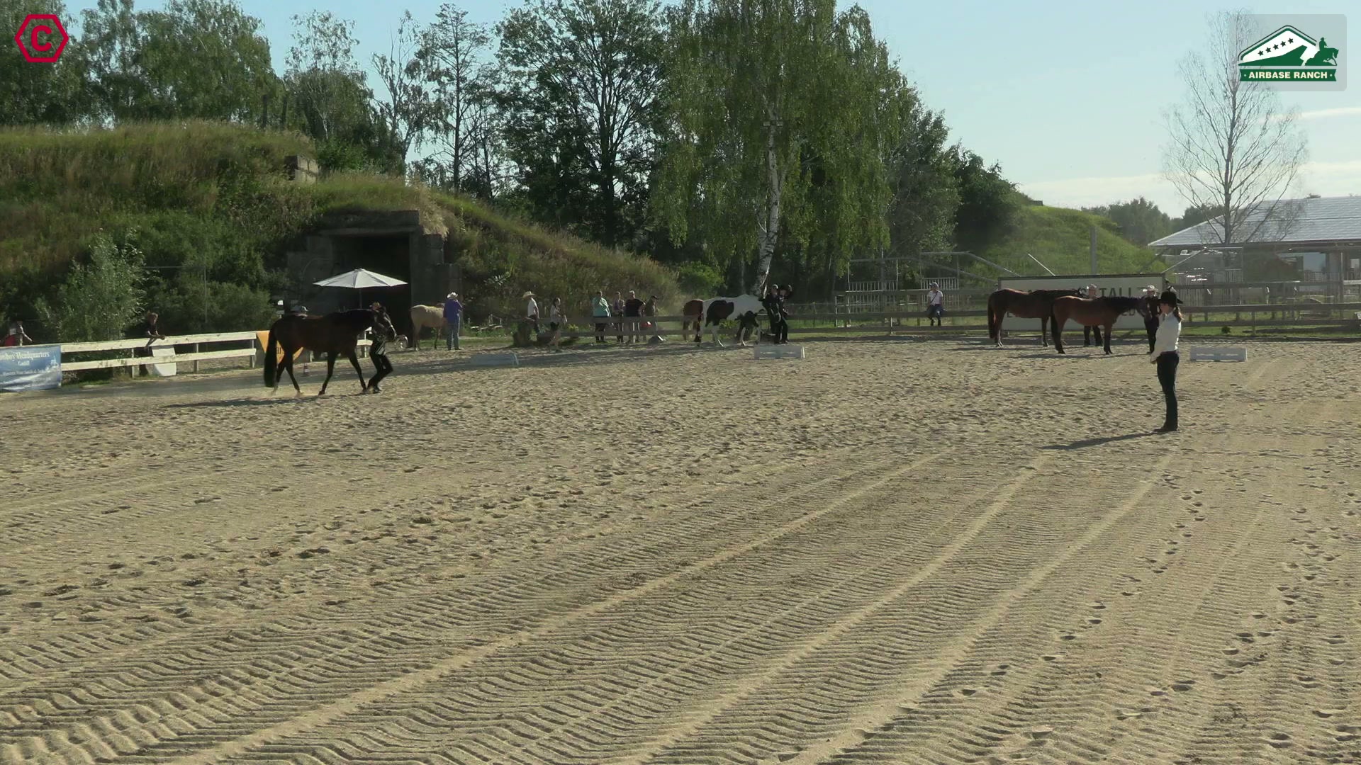 Gruppenclip LK 1A Showmanship at Halter