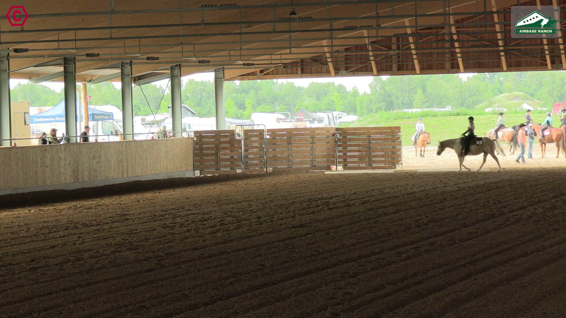 Gruppenclip Walk Trot  Pleasure