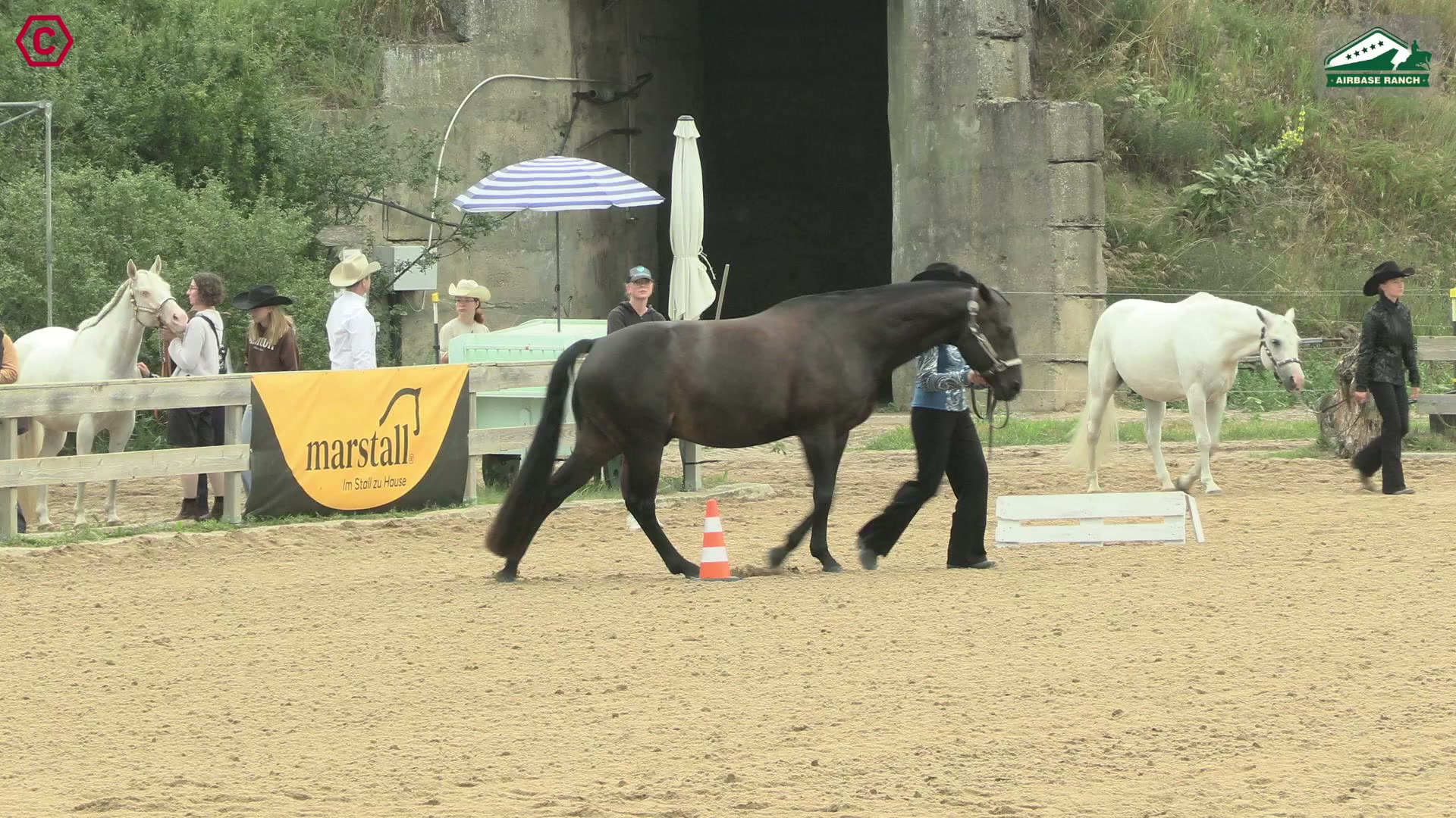 Clip von Fine Wildenhain, StartNr 16
