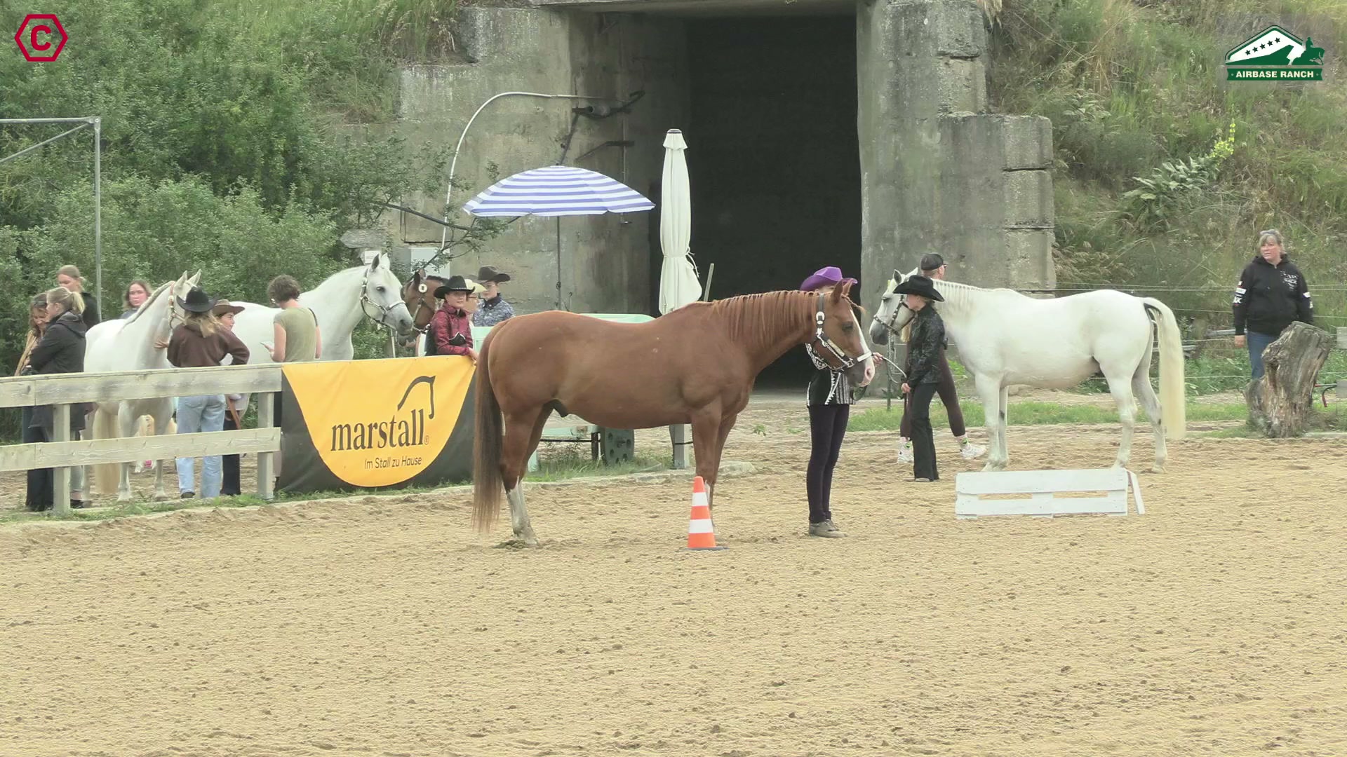 Clip von Leonie Lichterfeld, StartNr 261