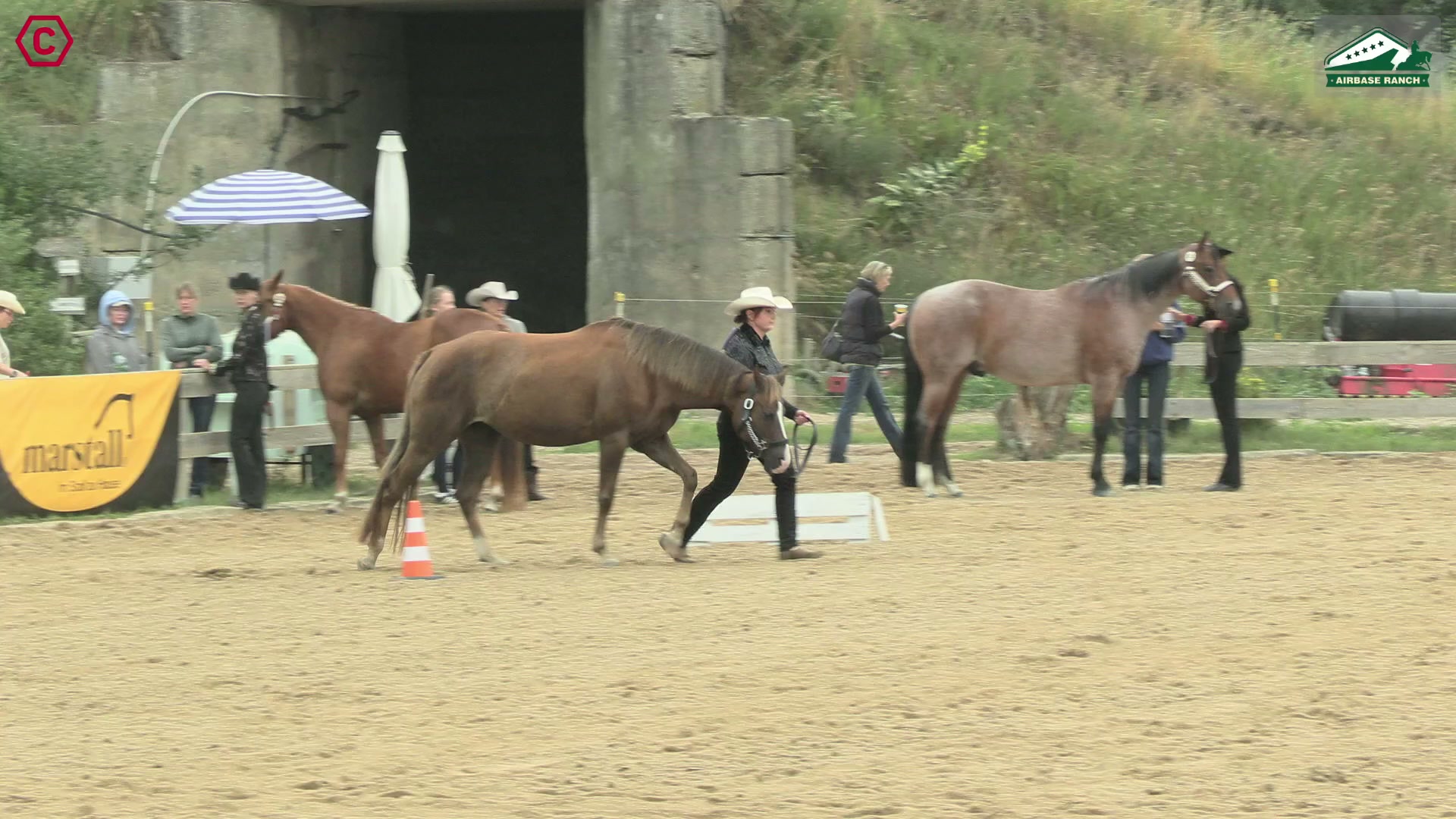 Clip von Marianne Thiel, StartNr 56