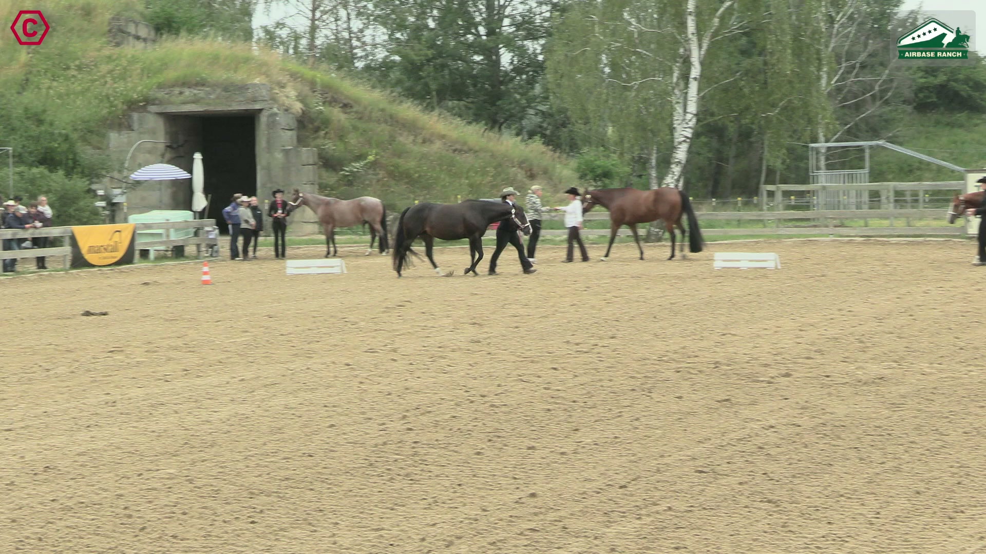 Clip von Claudia Astrid Dyck, StartNr 74
