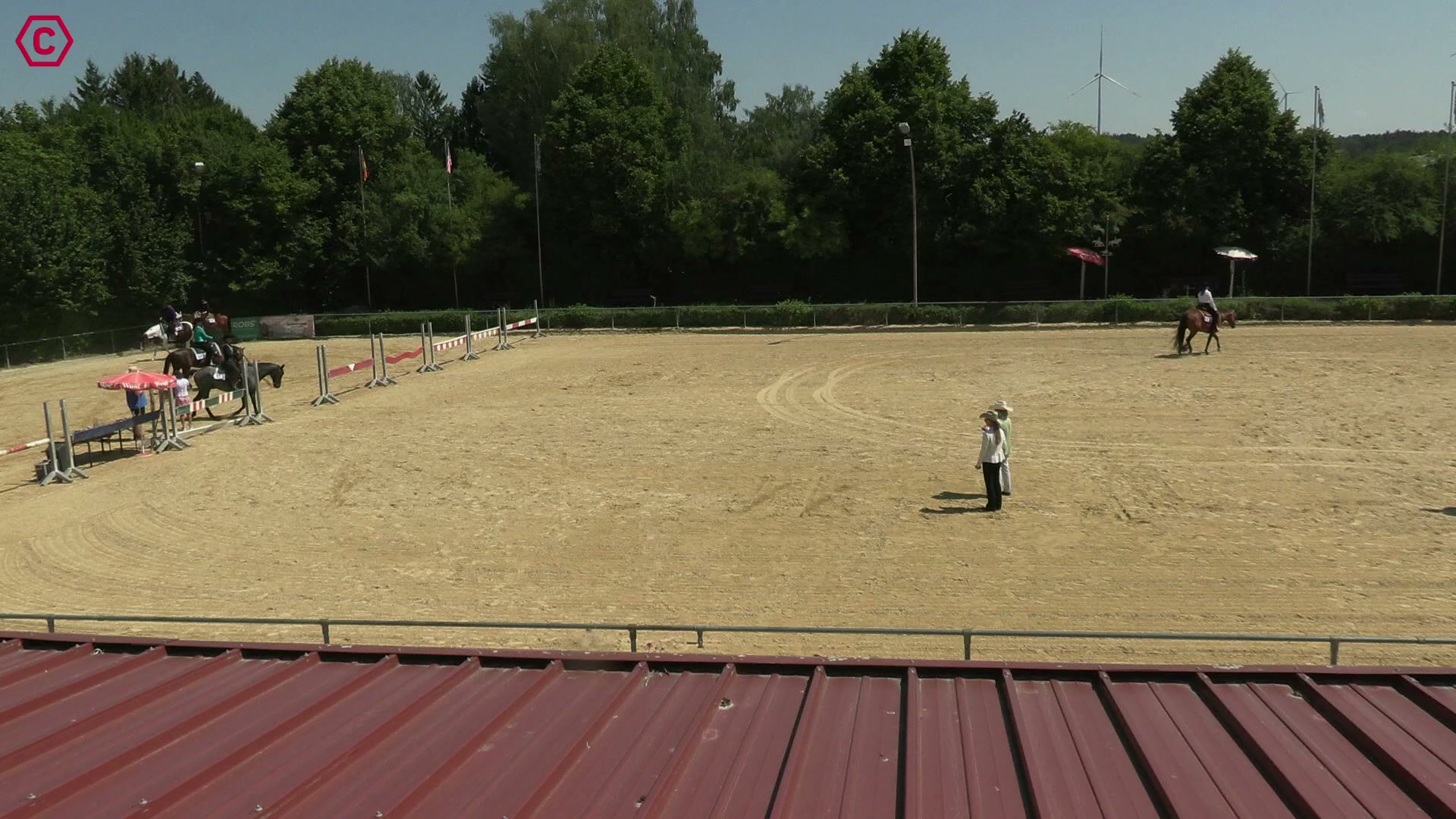 Gruppenclip LK 1A sen. Western Pleasure