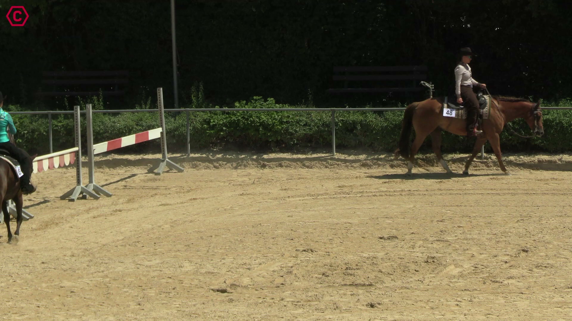 Gruppenclip LK 1A sen. Western Pleasure