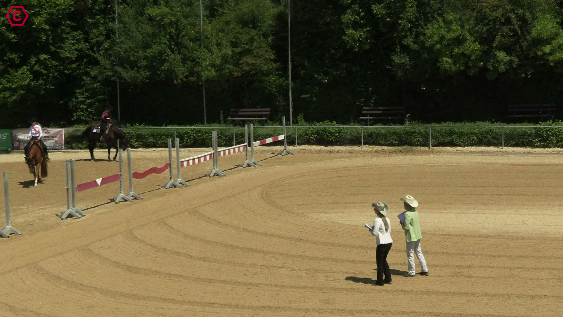 Gruppenclip LK 1 jun Western Pleasure