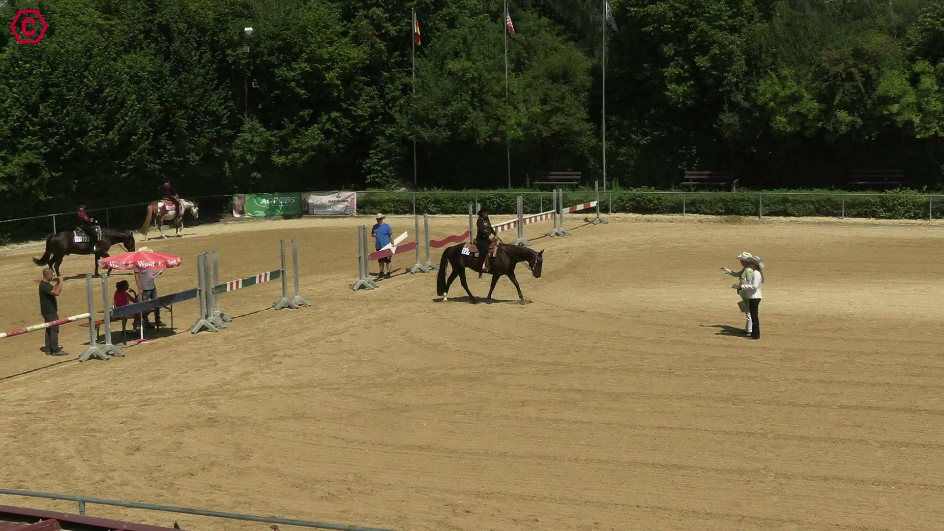 Gruppenclip LK 2 jun. Western Pleasure