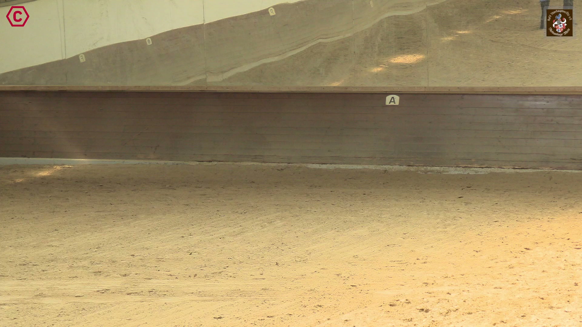 Gruppenclip M LK 2/1A Agrobs sen Western Pleasure