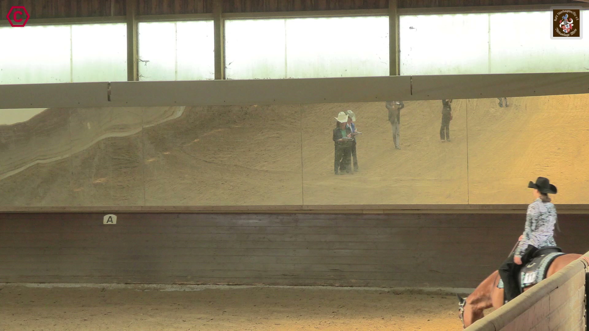 Gruppenclip M LK 2/1A Agrobs sen Western Pleasure