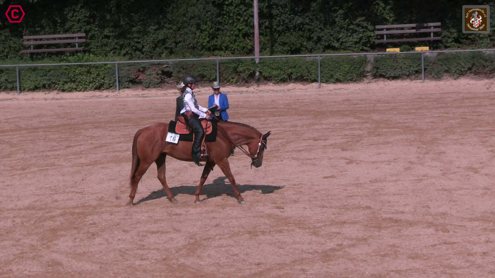 Gruppenclip M LK 2/1 jun. Western Pleasure