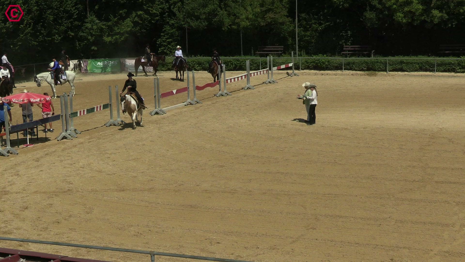 Gruppenclip LK 3A Western Pleasure