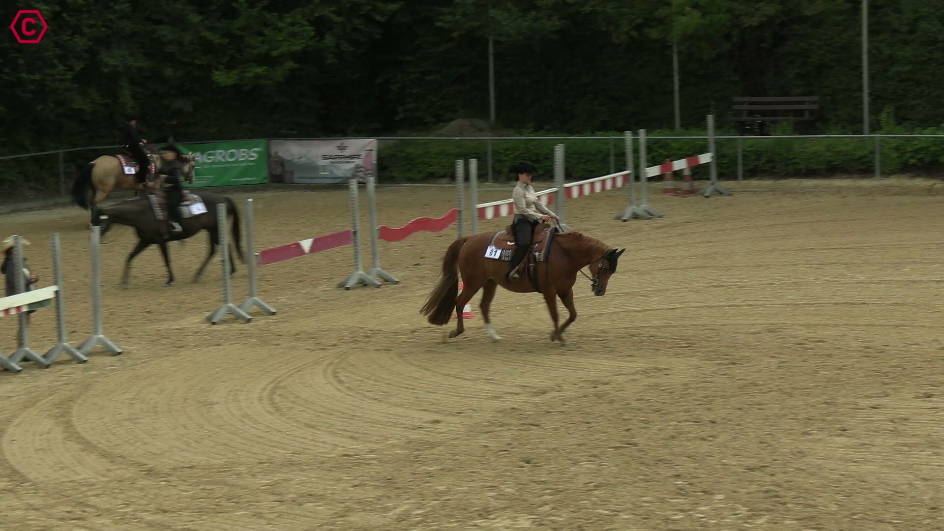 Clip von Carolin Utz Krell, StartNr 81
