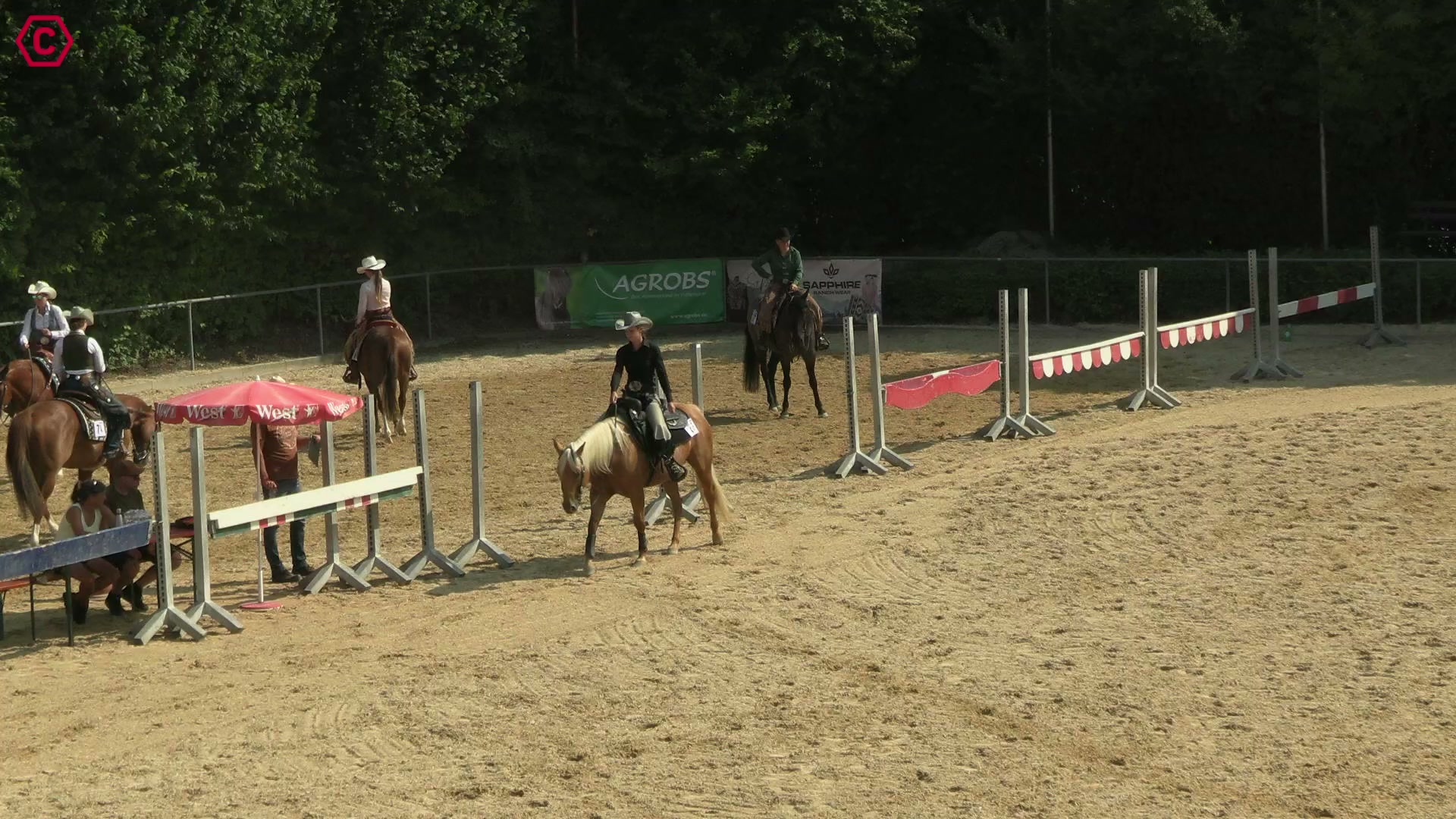 Clip von Franziska Haug