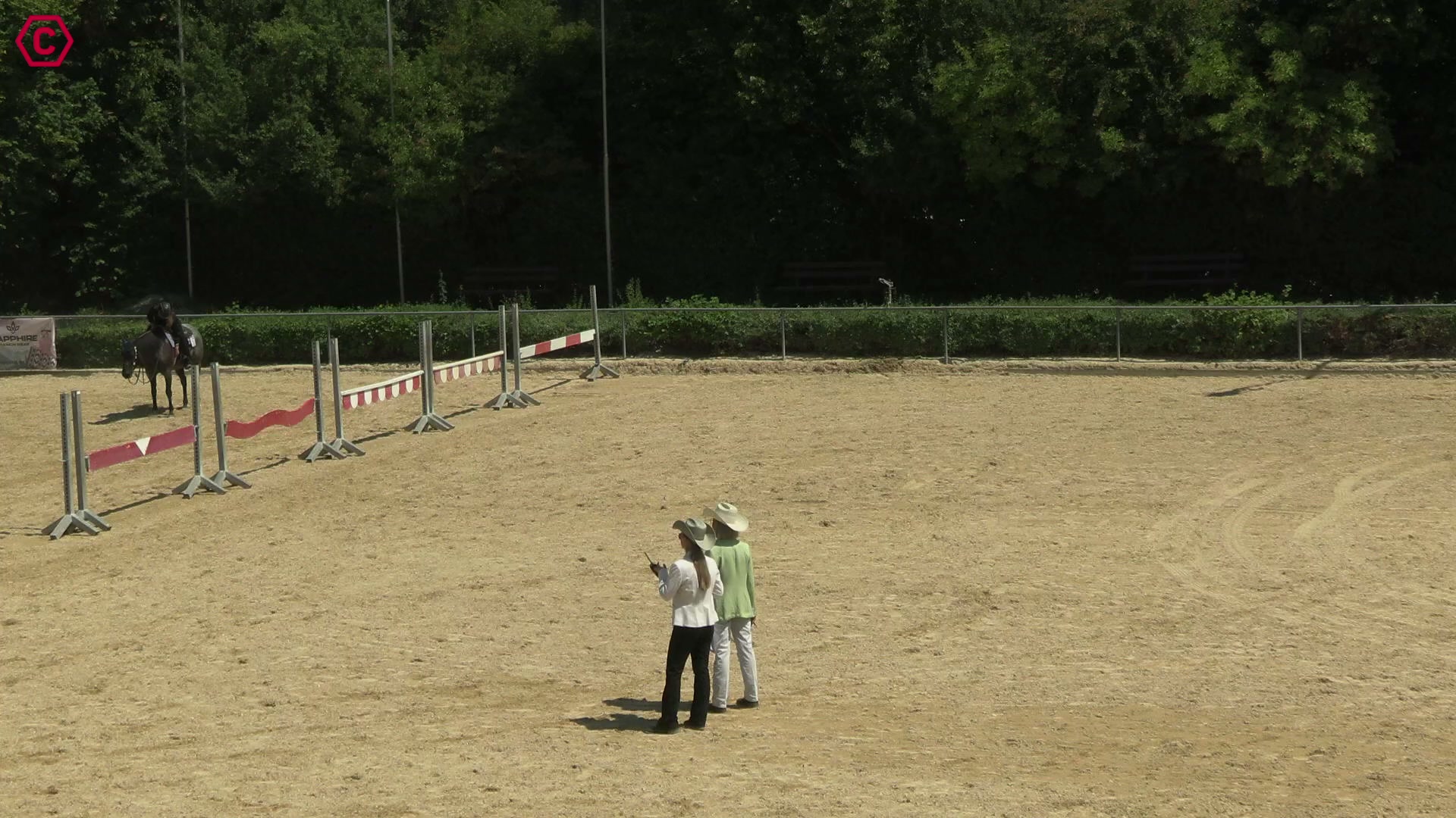 Gruppenclip LK 1-3B Western Pleasure