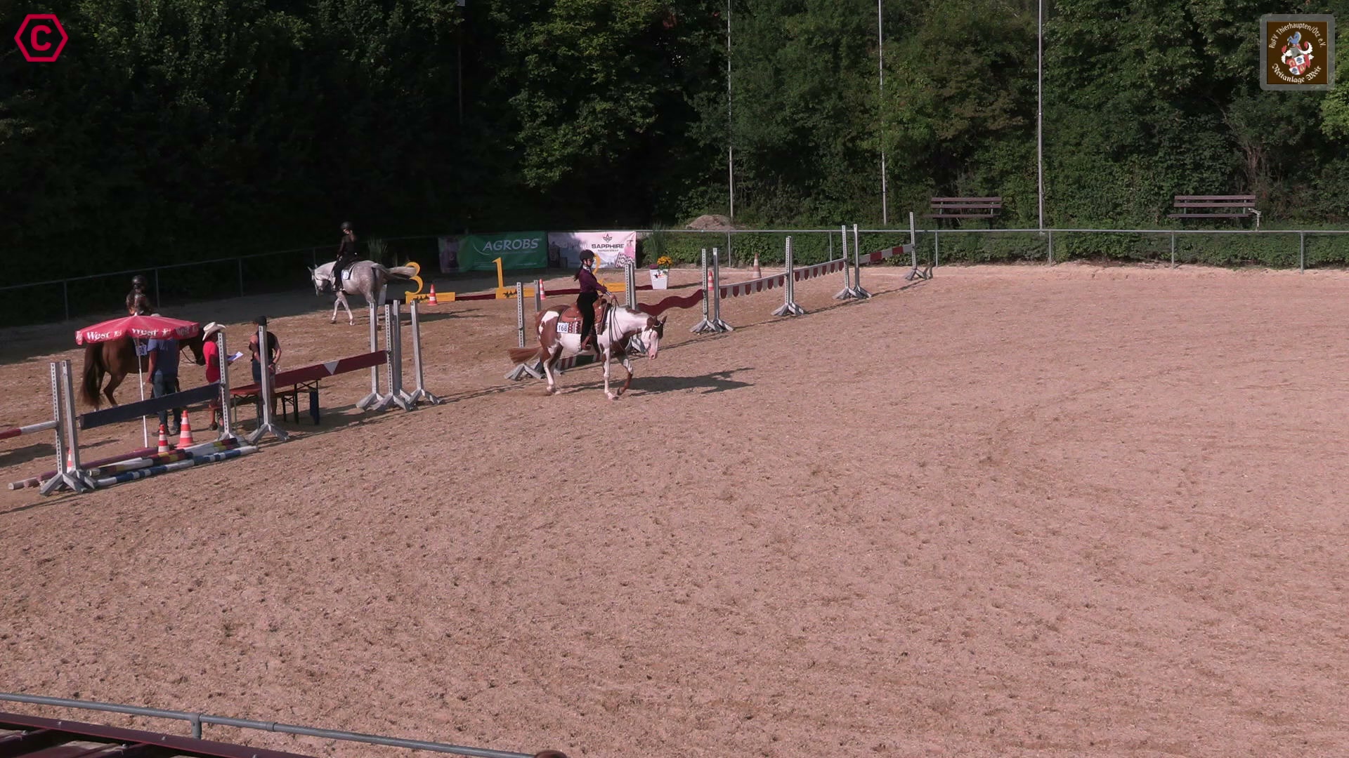 Gruppenclip M LK 2/1B Western Pleasure