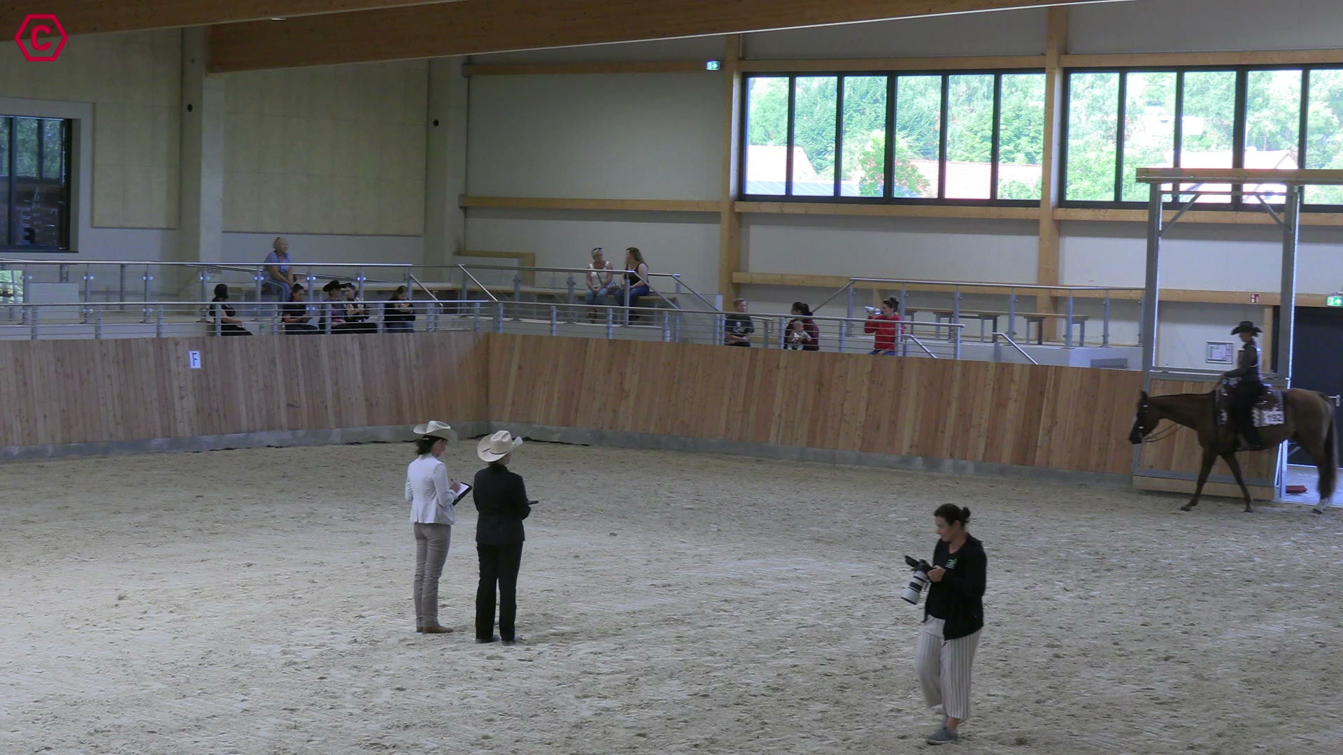 Gruppenclip LK 1A sen. Western Pleasure