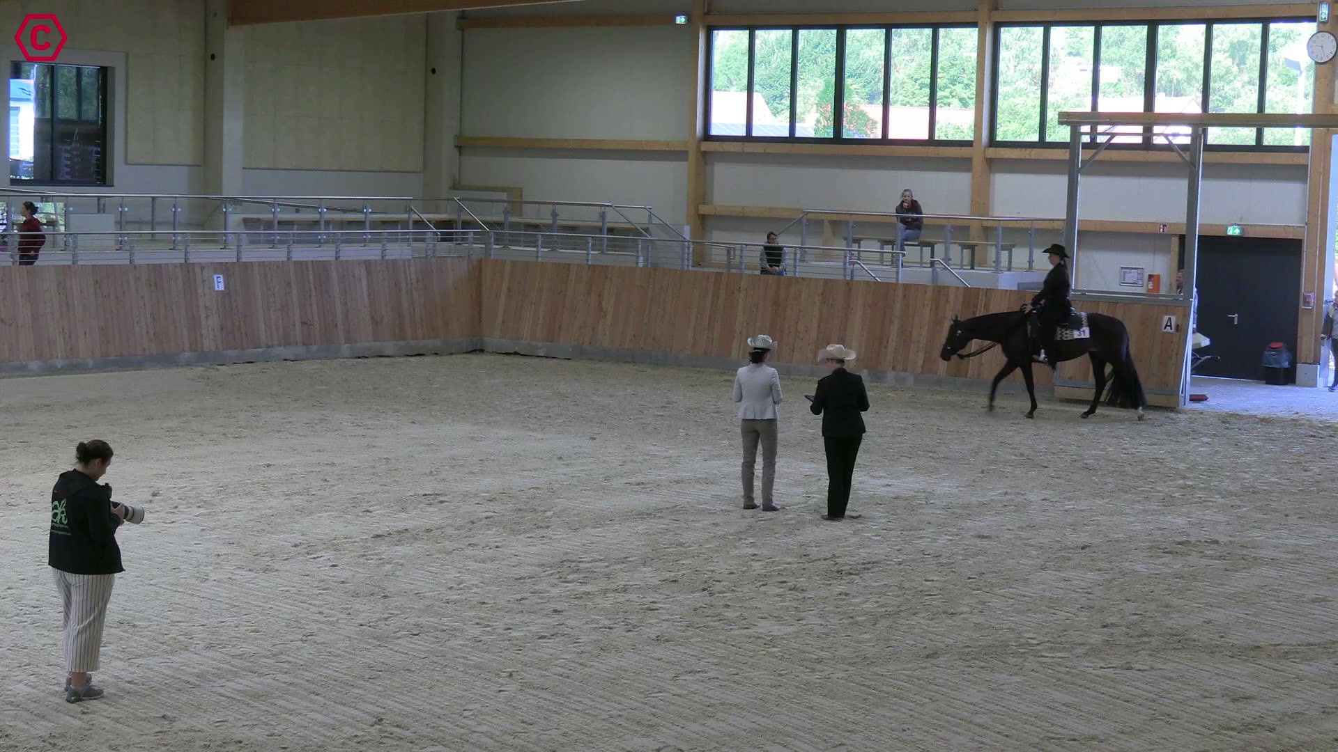Gruppenclip LK 1 jun Western Pleasure
