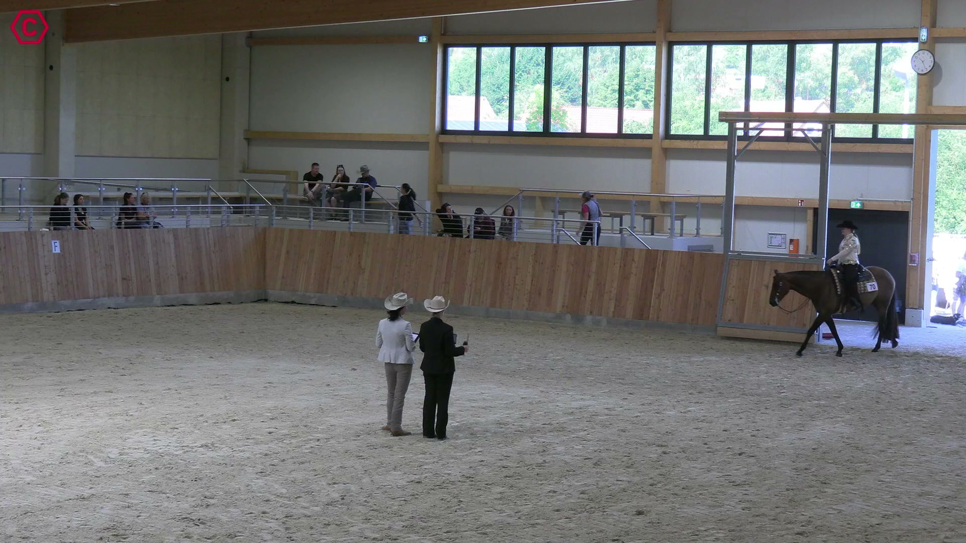 Gruppenclip LK 2A sen. Western Pleasure