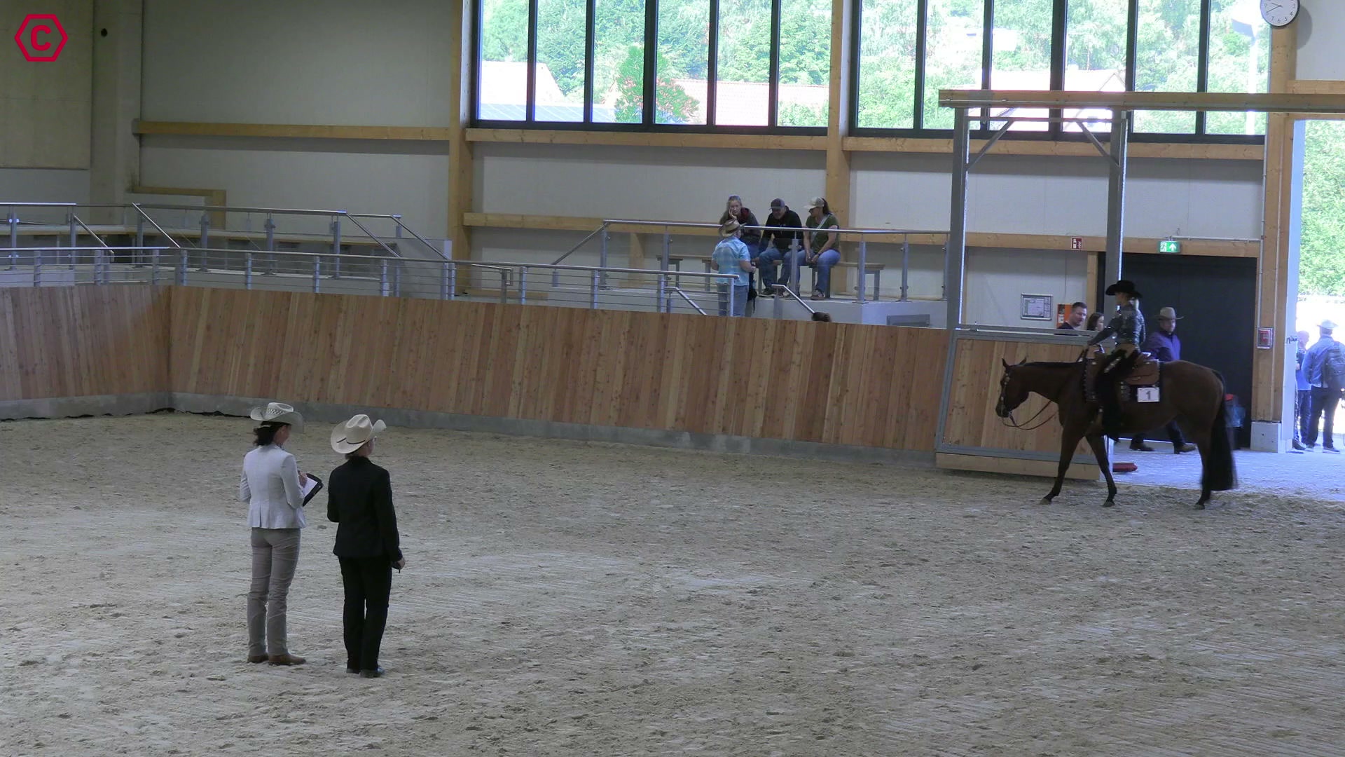 Gruppenclip LK 2 jun. Western Pleasure