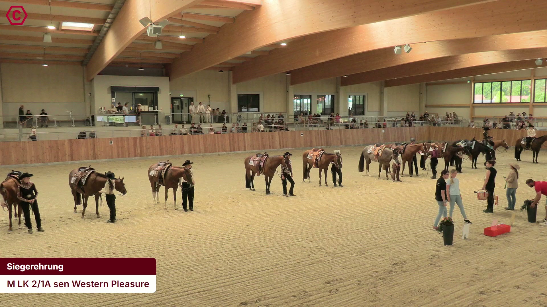 Siegerehrungs-Clip M LK 2/1A sen Western Pleasure