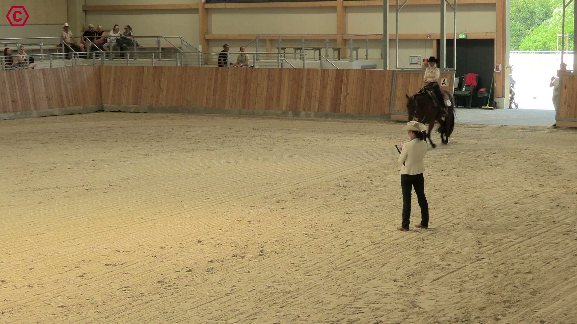 Gruppenclip M LK 2/1 jun. Western Pleasure