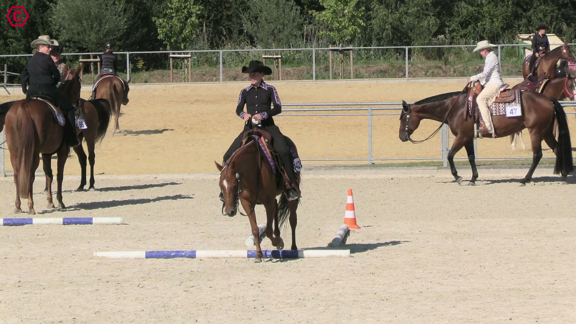 Clip von Nele Rumpfkeil, StartNr 142