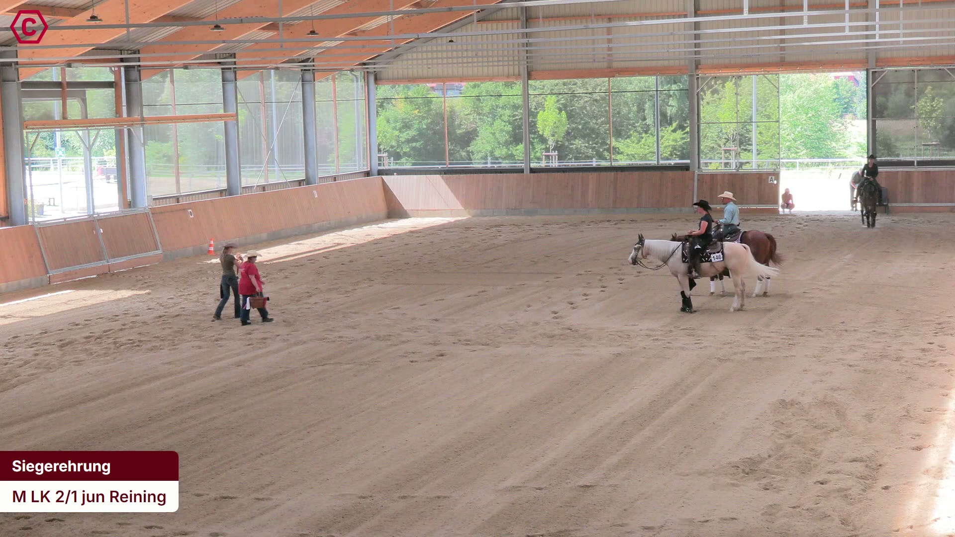 Siegerehrungs-Clip M LK 2/1 jun Reining