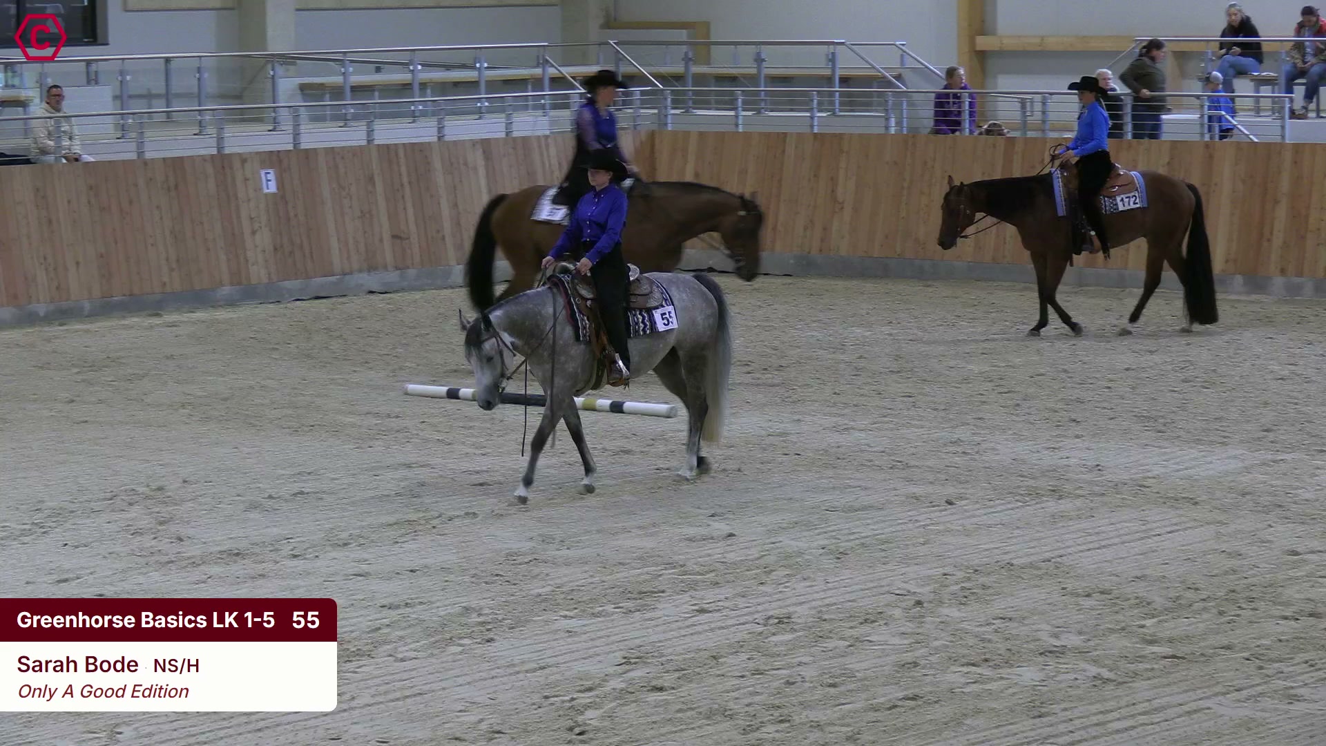 Clip von Sarah Bode, StartNr 55