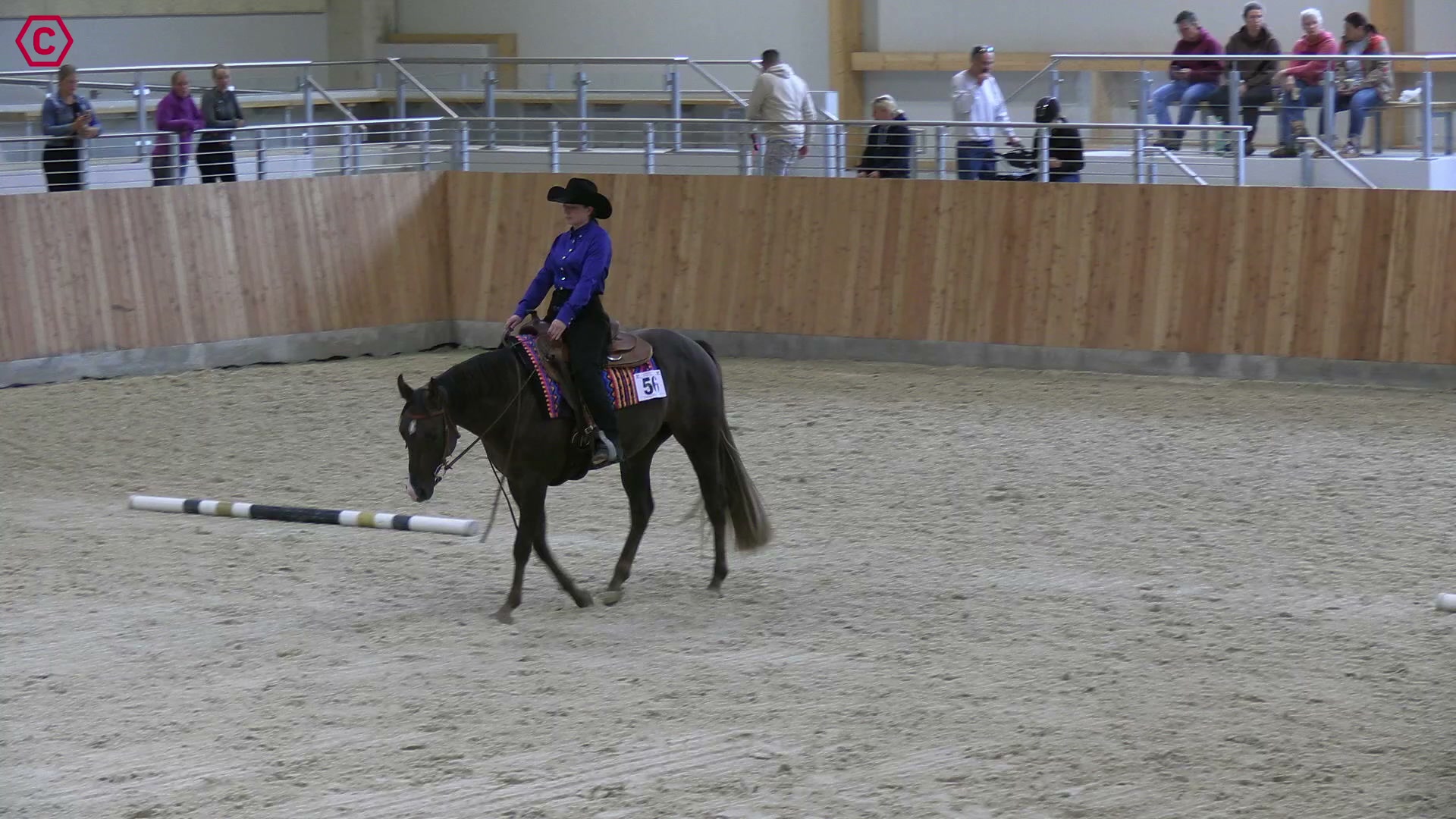 Clip von Sarah Bode, StartNr 56