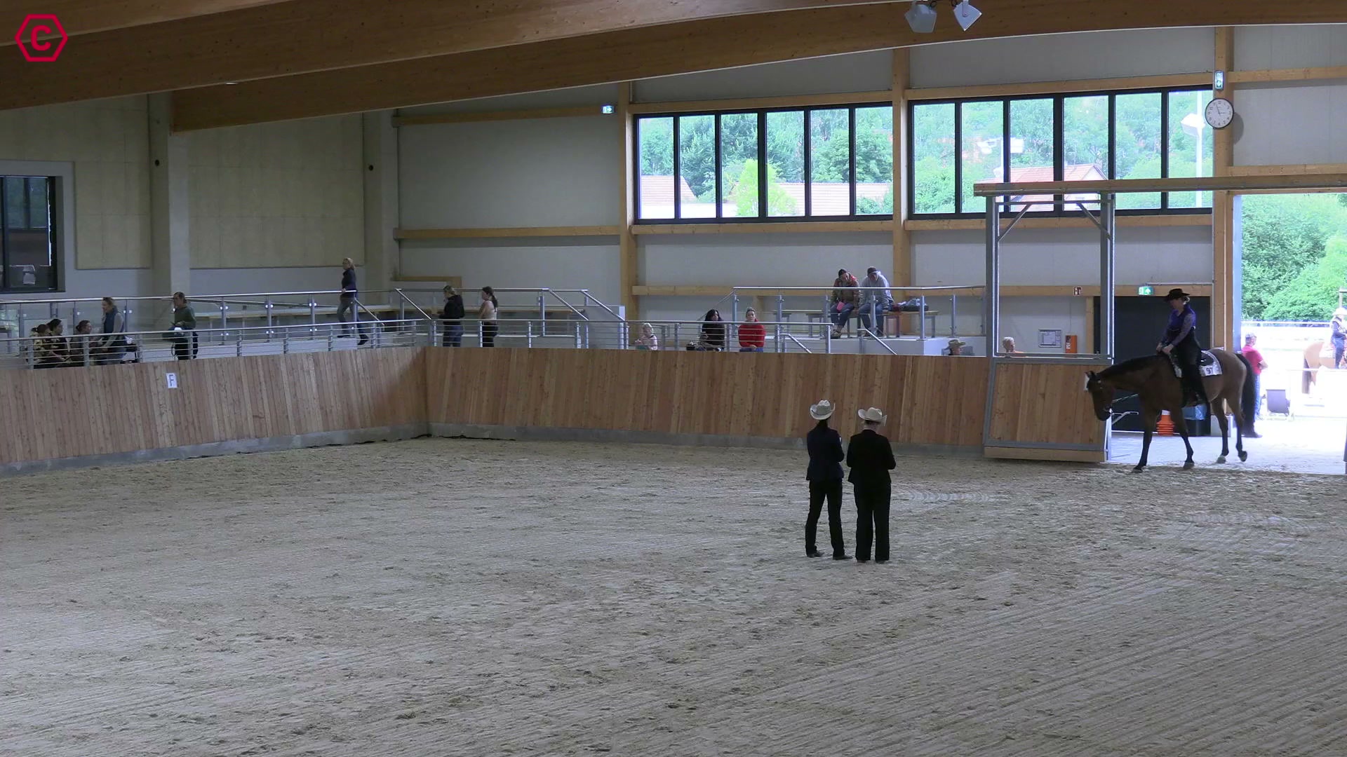 Gruppenclip LK 3 Western Pleasure