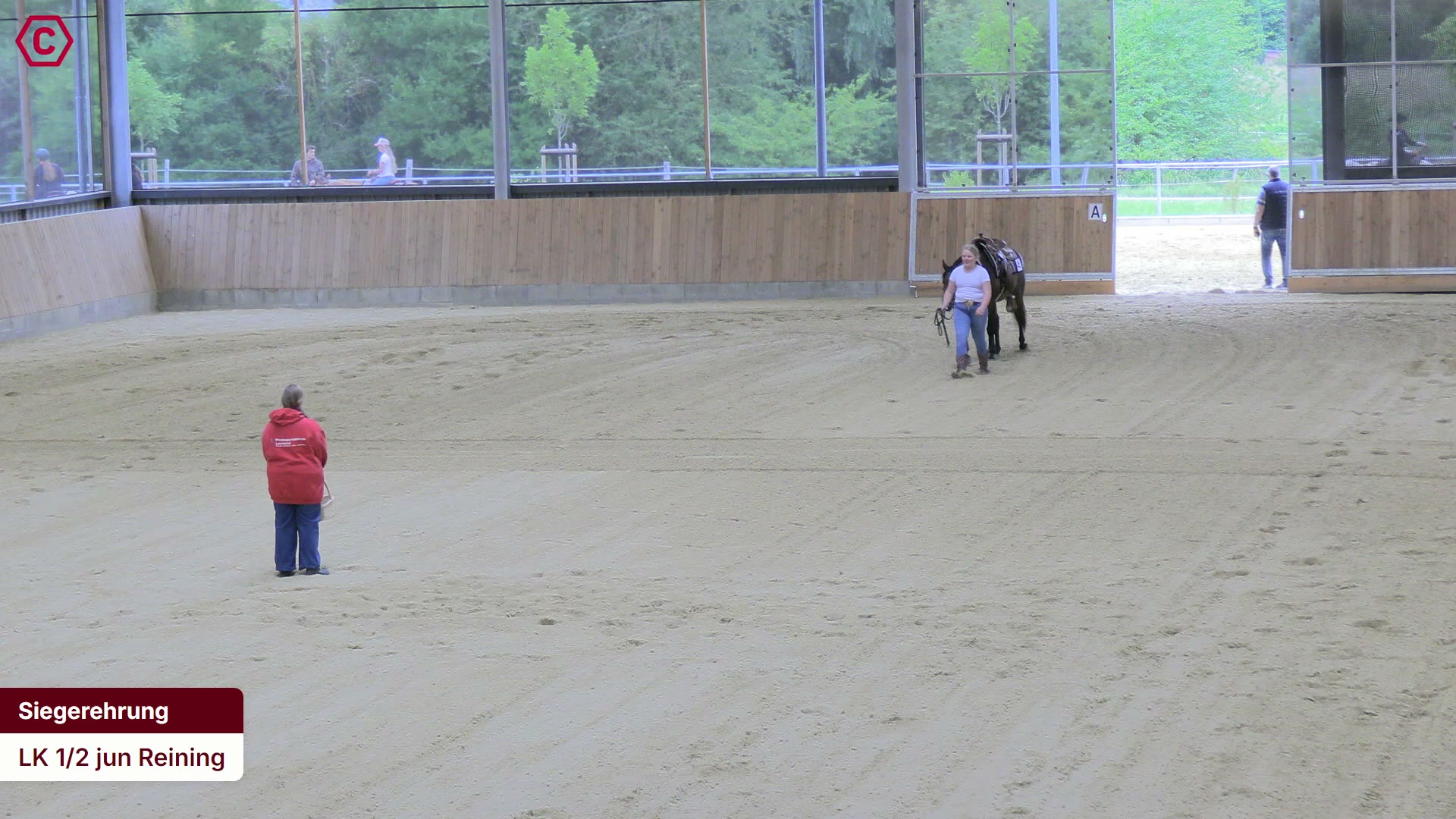 Siegerehrungs-Clip LK 1/2 jun Reining